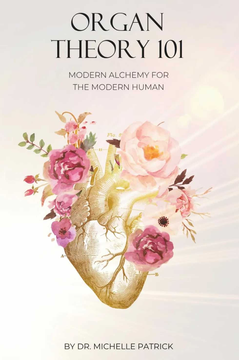 Organ Theory 101: Modern alchemy for the modern human