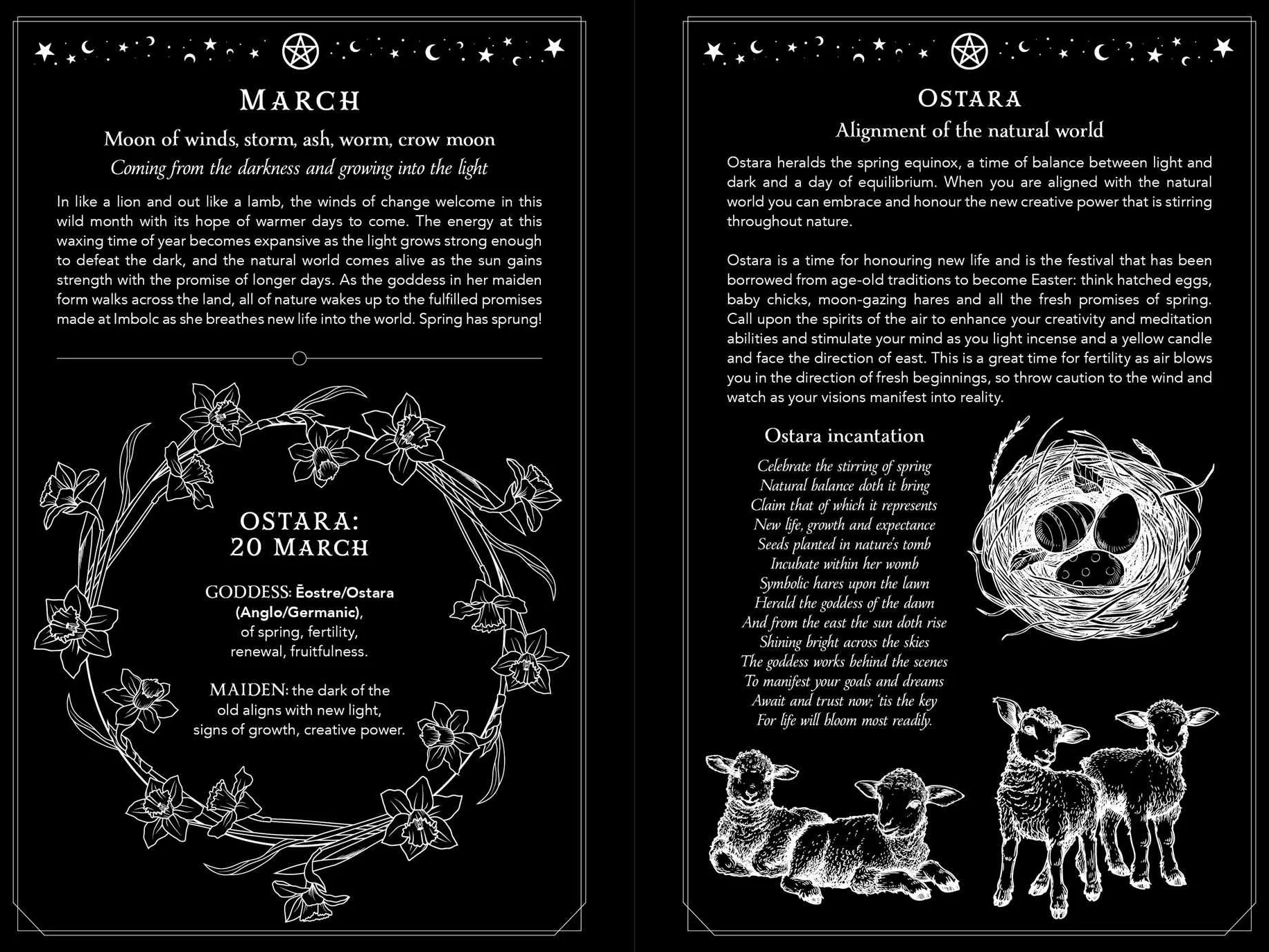 Witch's Diary 2026: Northern Hemisphere - Reclaiming the Magick of the Old Ways