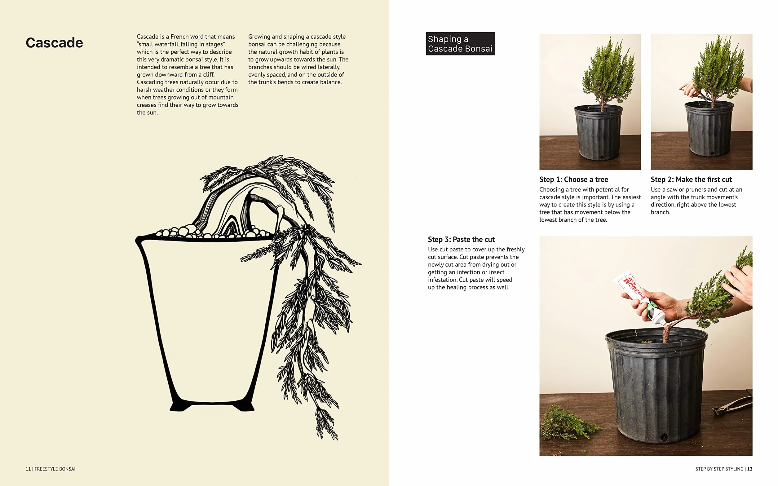 Freestyle Bonsai: How to Pot, Grow, Prune, and Shape - Bend the Rules of Traditional Bonsai