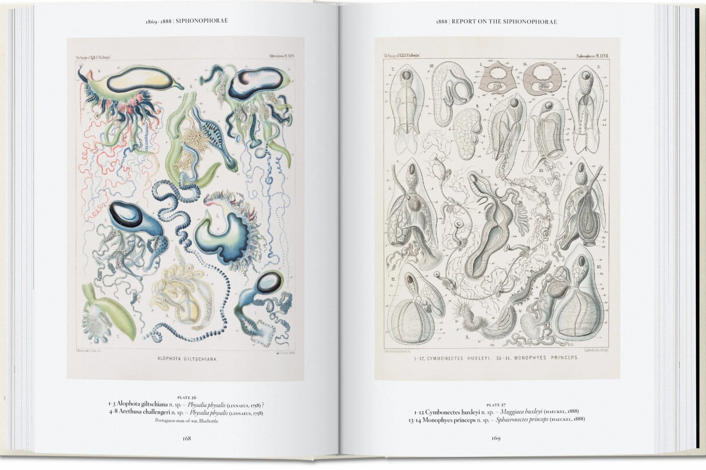 The Art and Science of Ernst Haeckel. 45th Ed.