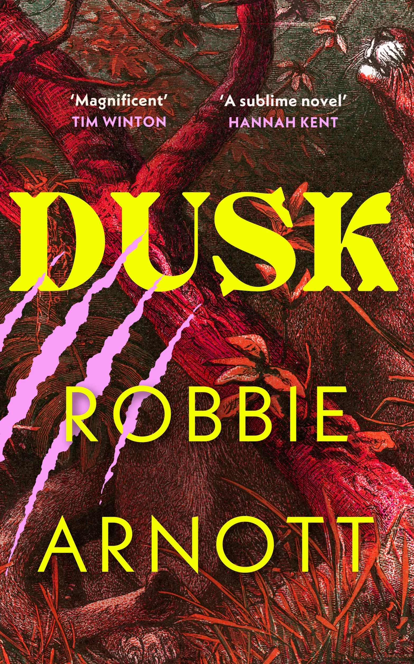 Dusk: Historical Novel from Prizewinning Author of Limberlost