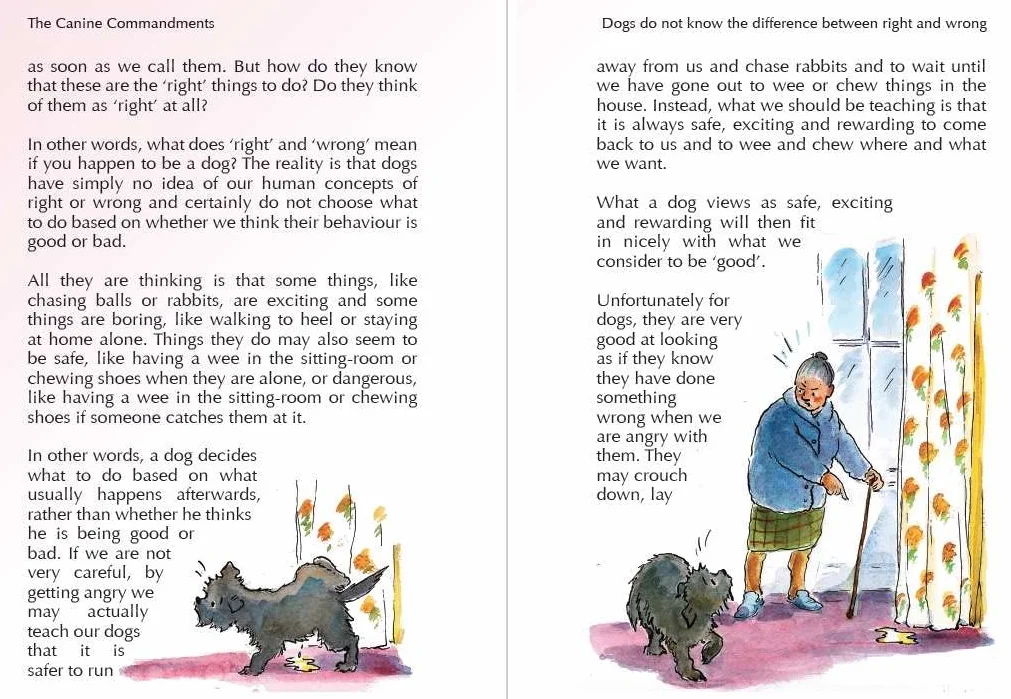 The Canine Commandments 2nd Edition: Be Happy and Safe with Dogs