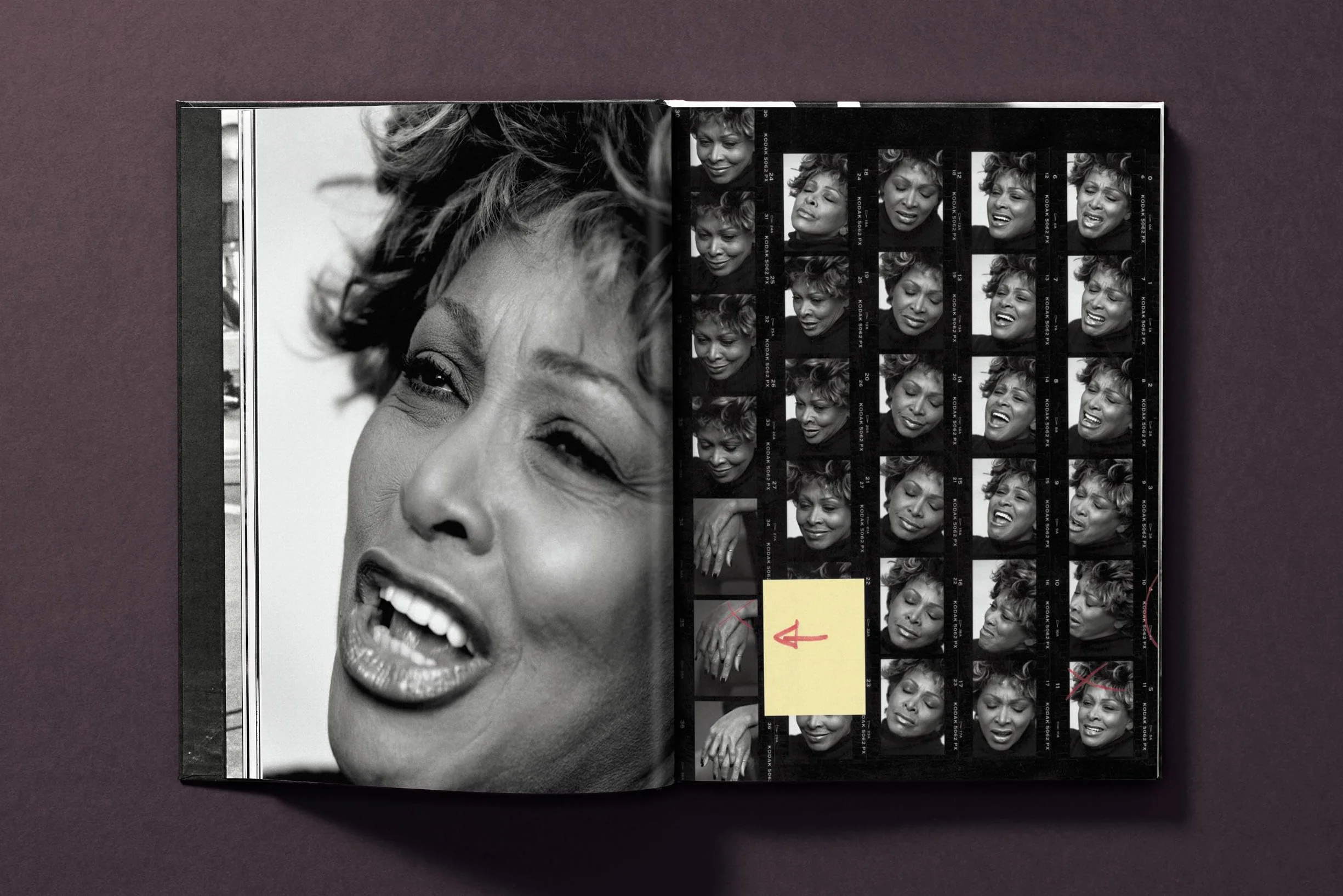Tina Turner