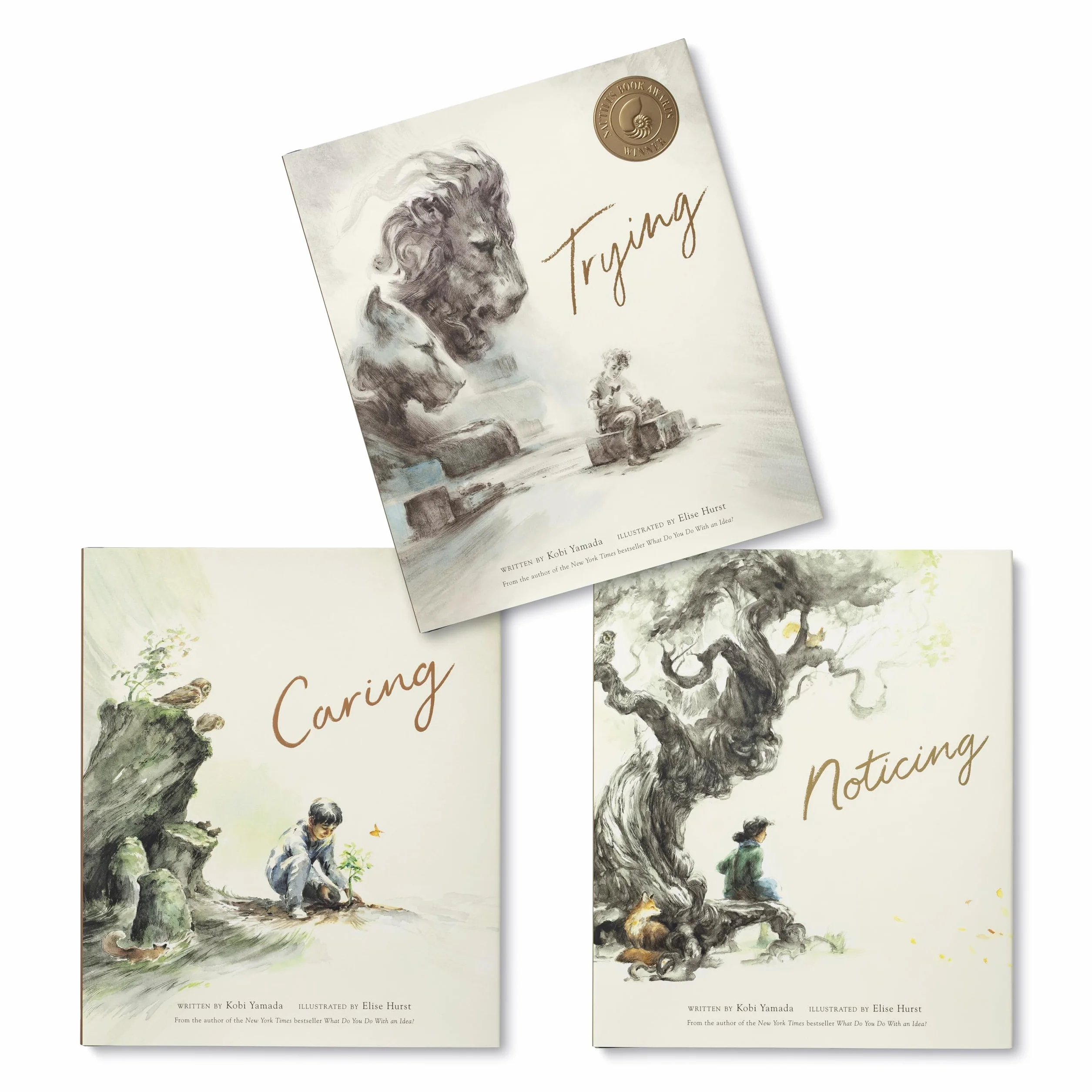 Boxed Set: Trying; Noticing; Caring