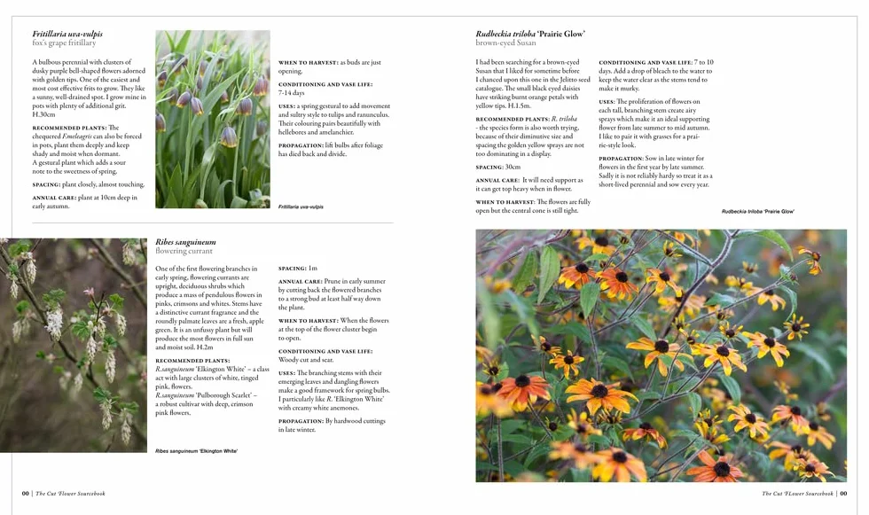 The Cut Flower Sourcebook: Exceptional Perennials and Woody Plants for Cutting