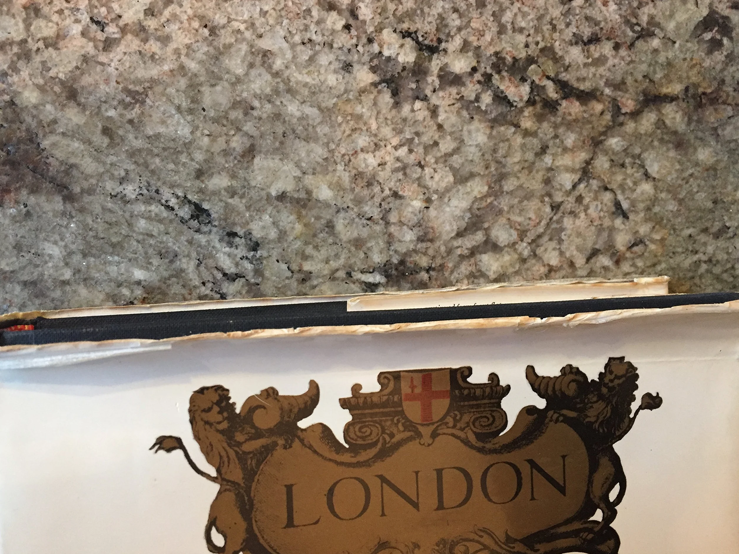 London: The Biography of a City