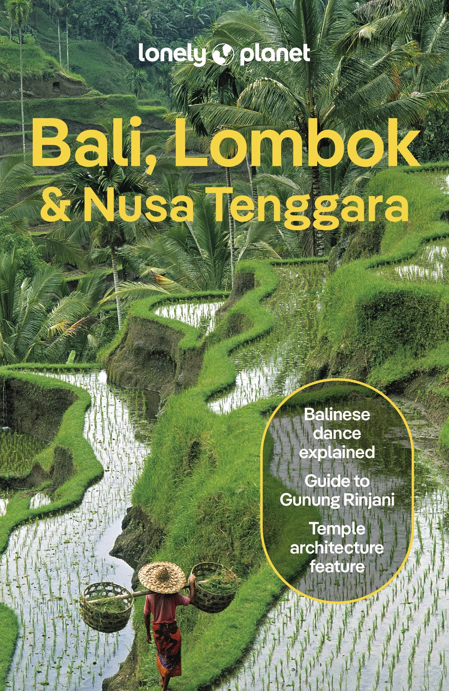 Bali, Lombok & Nusa Tenggara 19ed -anglais-: Detailed Itineraries Travel Like a Local Insider Tips Covers Canggu, Ubud, Lombok, Gili Islands, and More