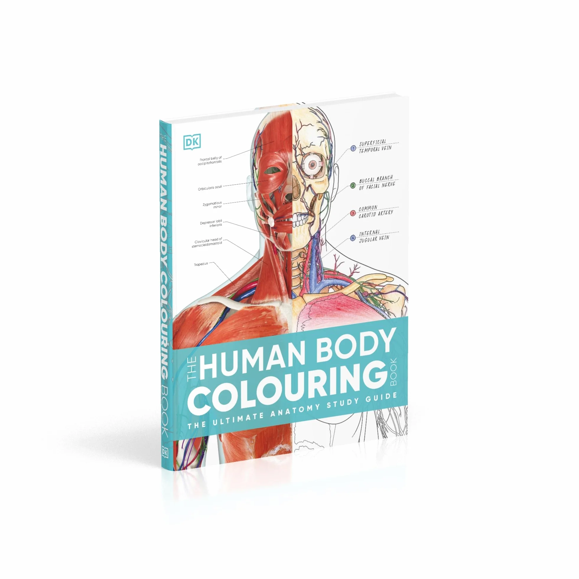 The Human Body Colouring Book: The Ultimate Anatomy Study Guide