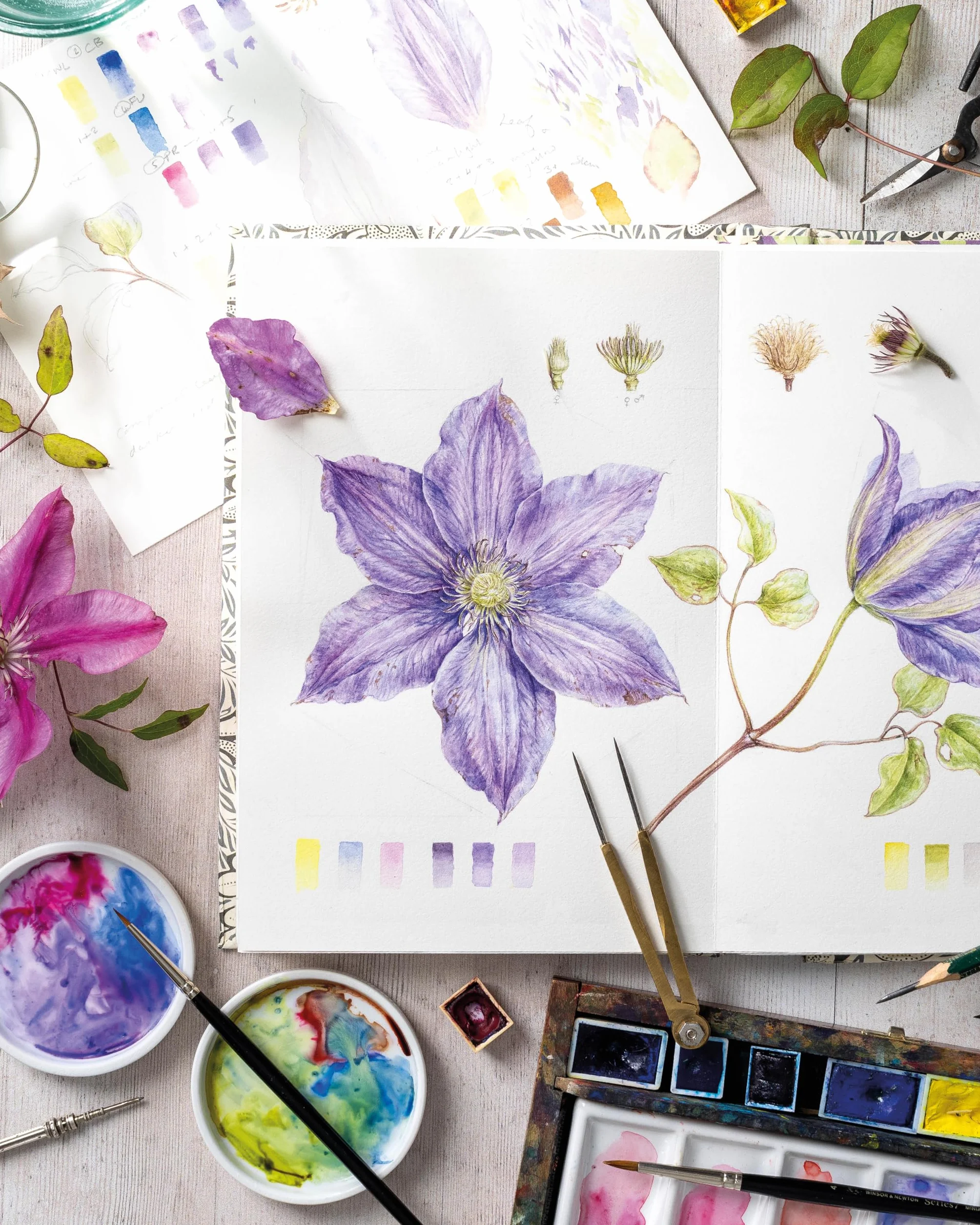 Sketching Nature: The Beginner's Guide to Keeping a Botanical Sketchbook