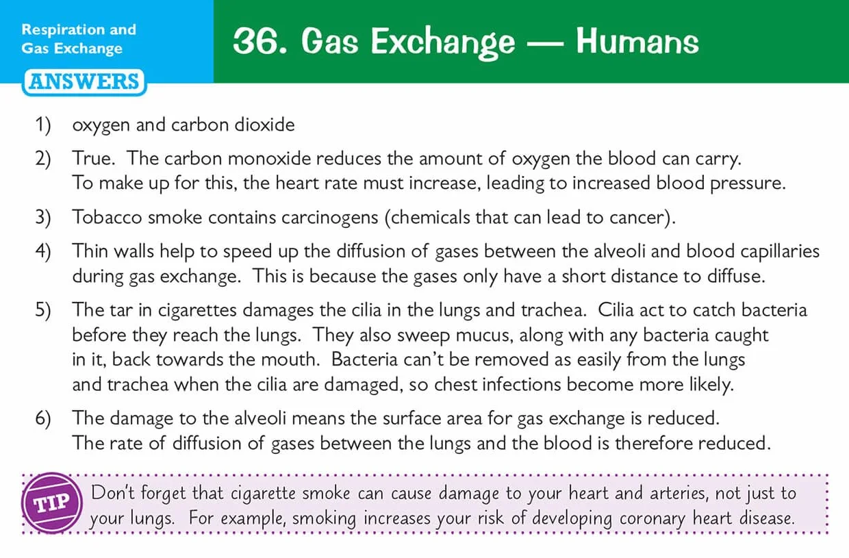 Edexcel International GCSE Biology Revision Question Cards