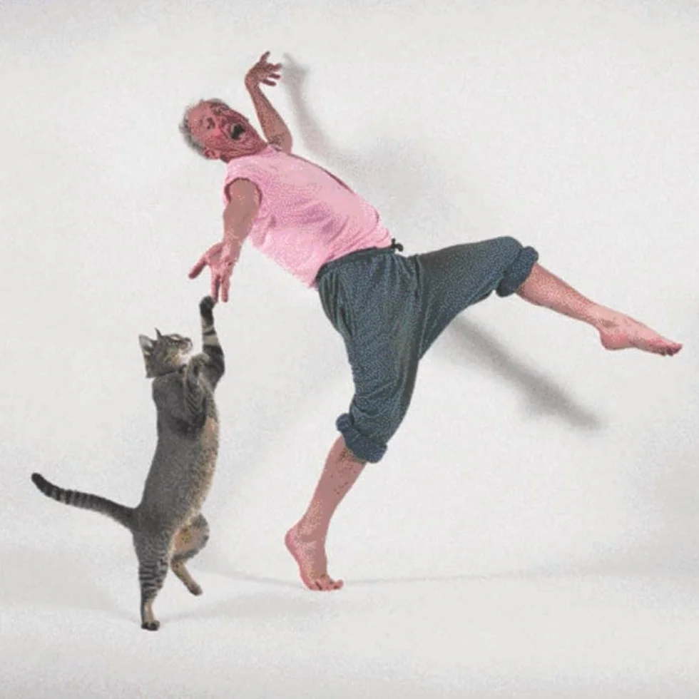 Dancing with Cats: From the Creators of Why Cats Paint, Cat Photography Book for Cat Lovers
