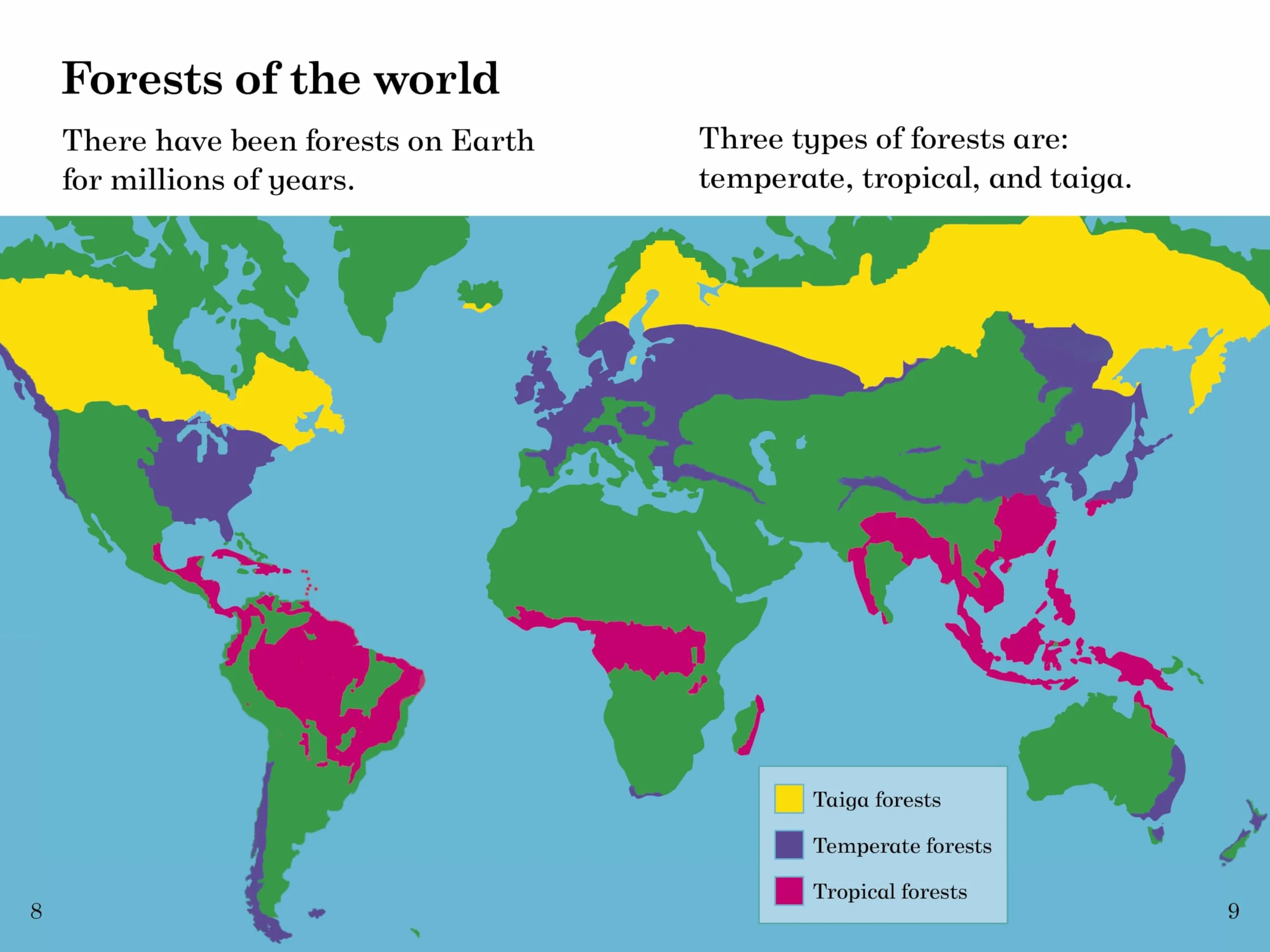 BBC Earth: Forests: Level 4