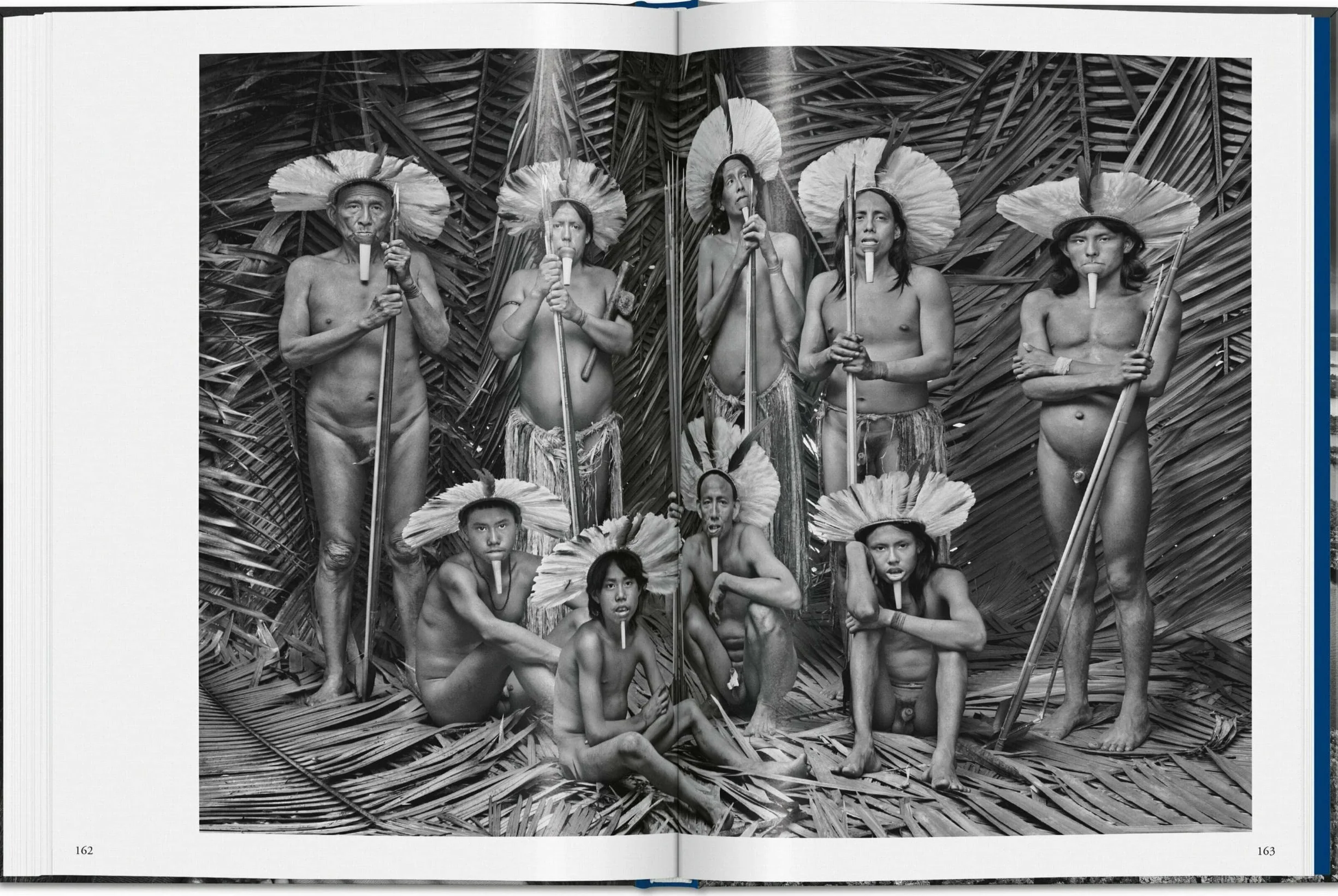 Salgado, Amazônia