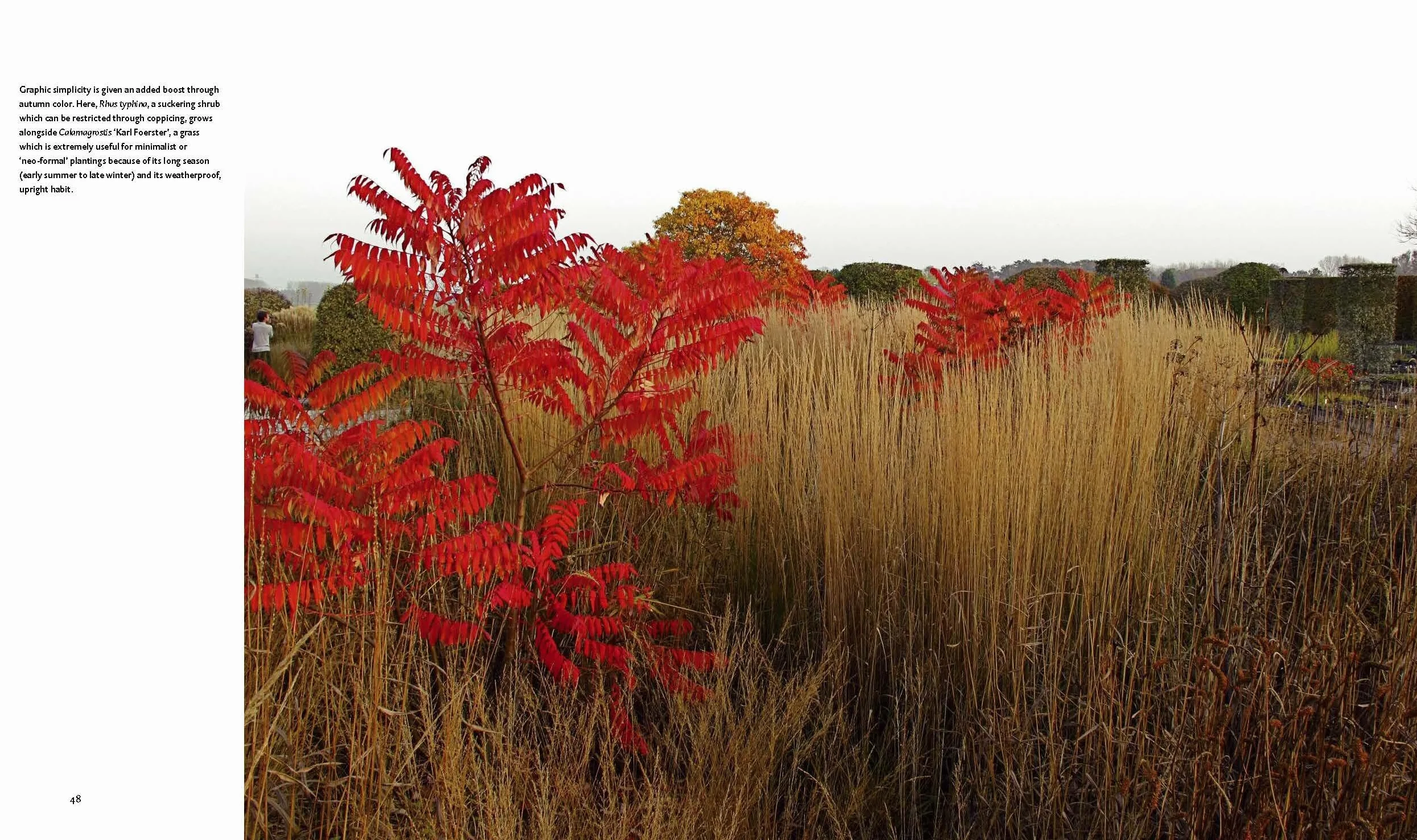 Planting: A New Perspective