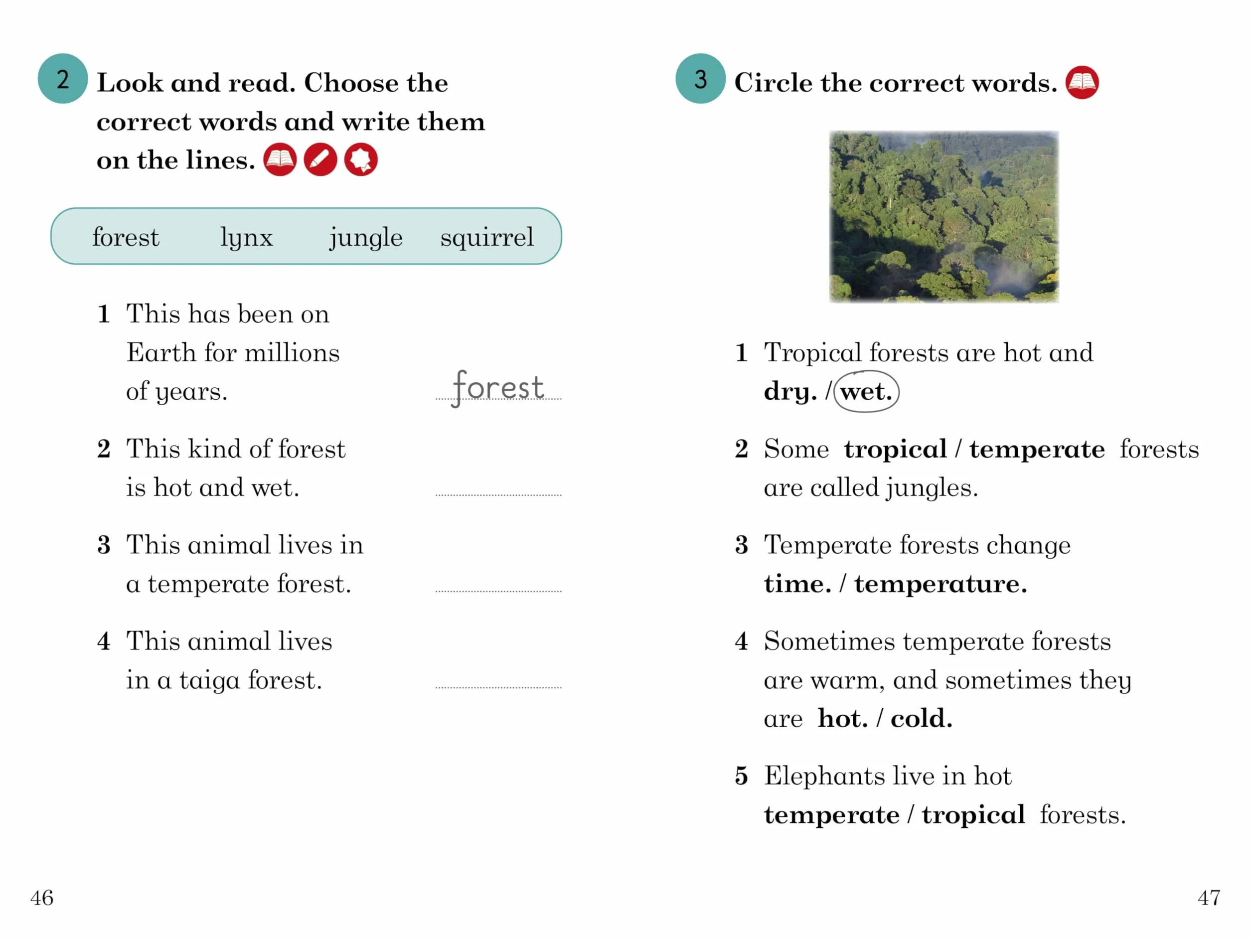 BBC Earth: Forests: Level 4