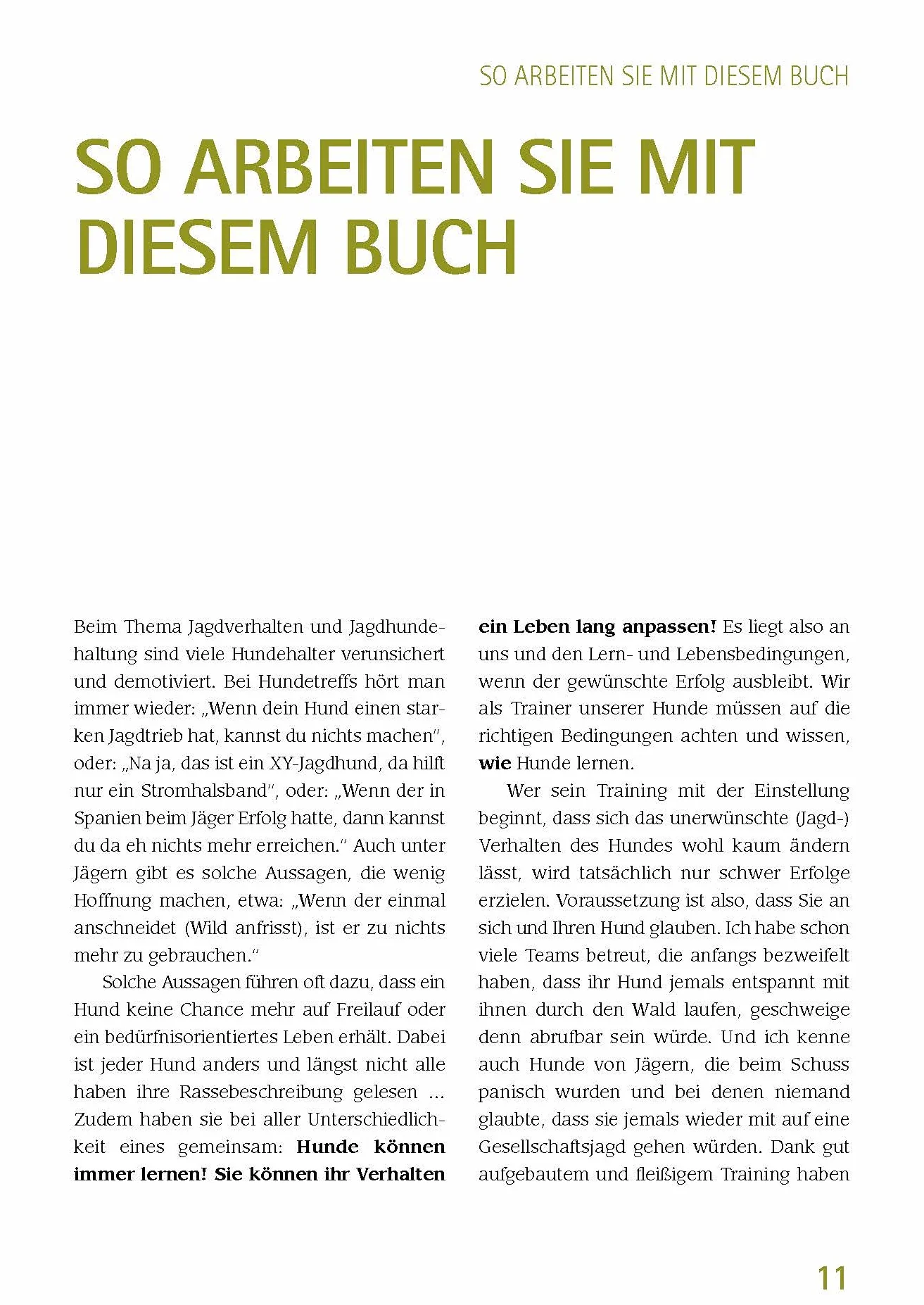 Leben mit Jagdhund: Praxishandbuch für ein entspanntes Miteinander