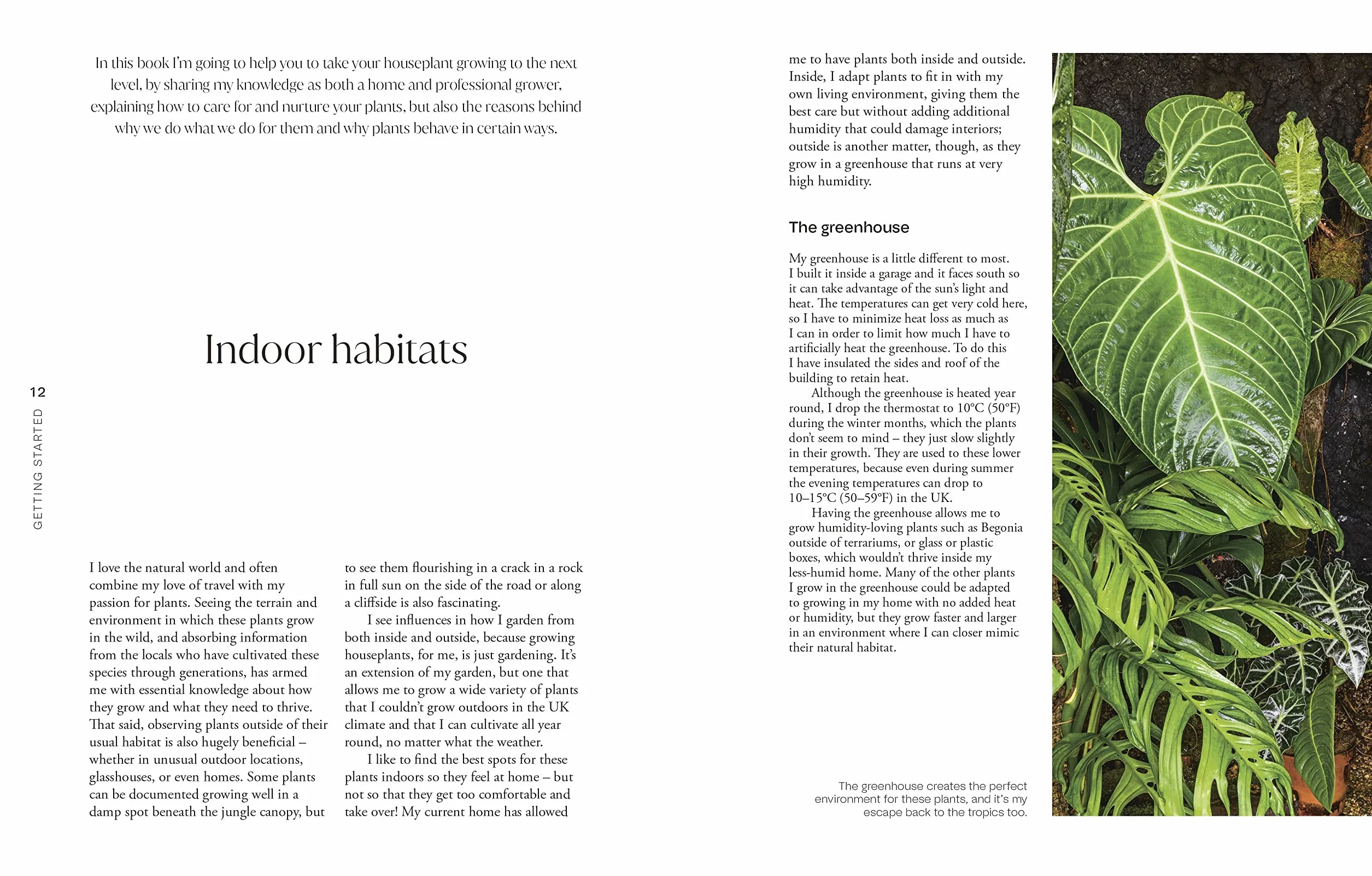 Not Another Jungle: Comprehensive Care for Extraordinary Houseplants