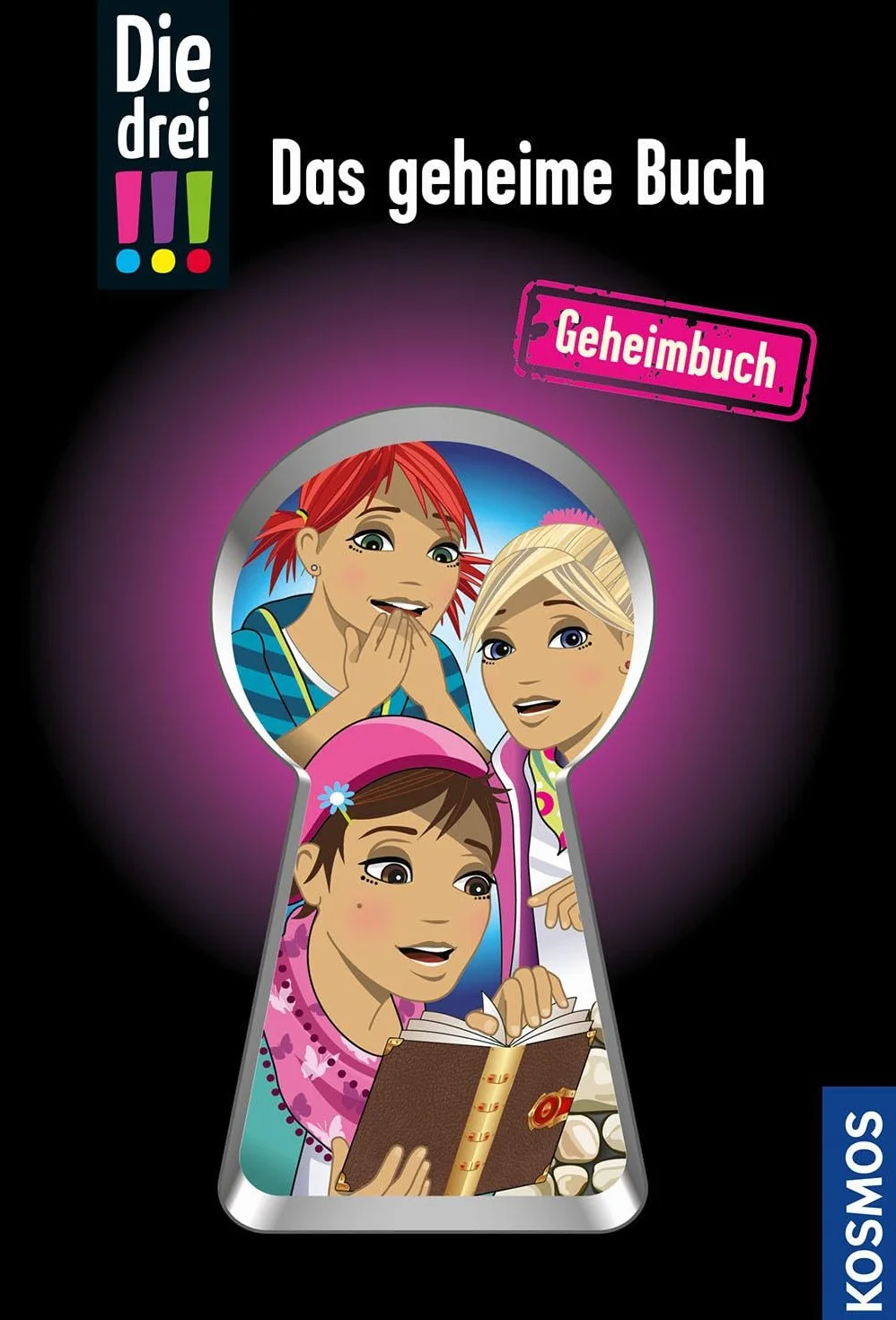 Die drei !!! Das geheime Buch - Geheimbuch mit Rätseln