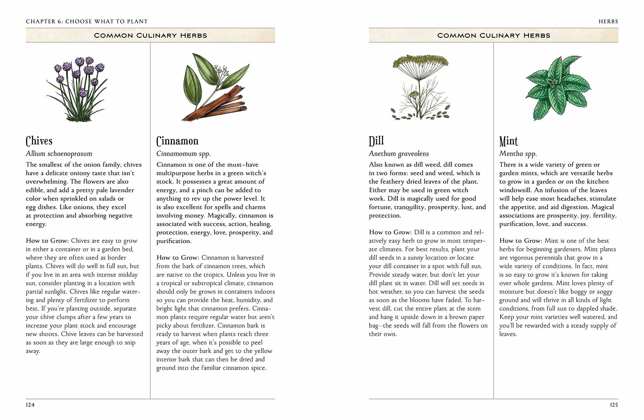 The Green Witch's Garden: Your Complete Guide to Creating a Magical Garden Space