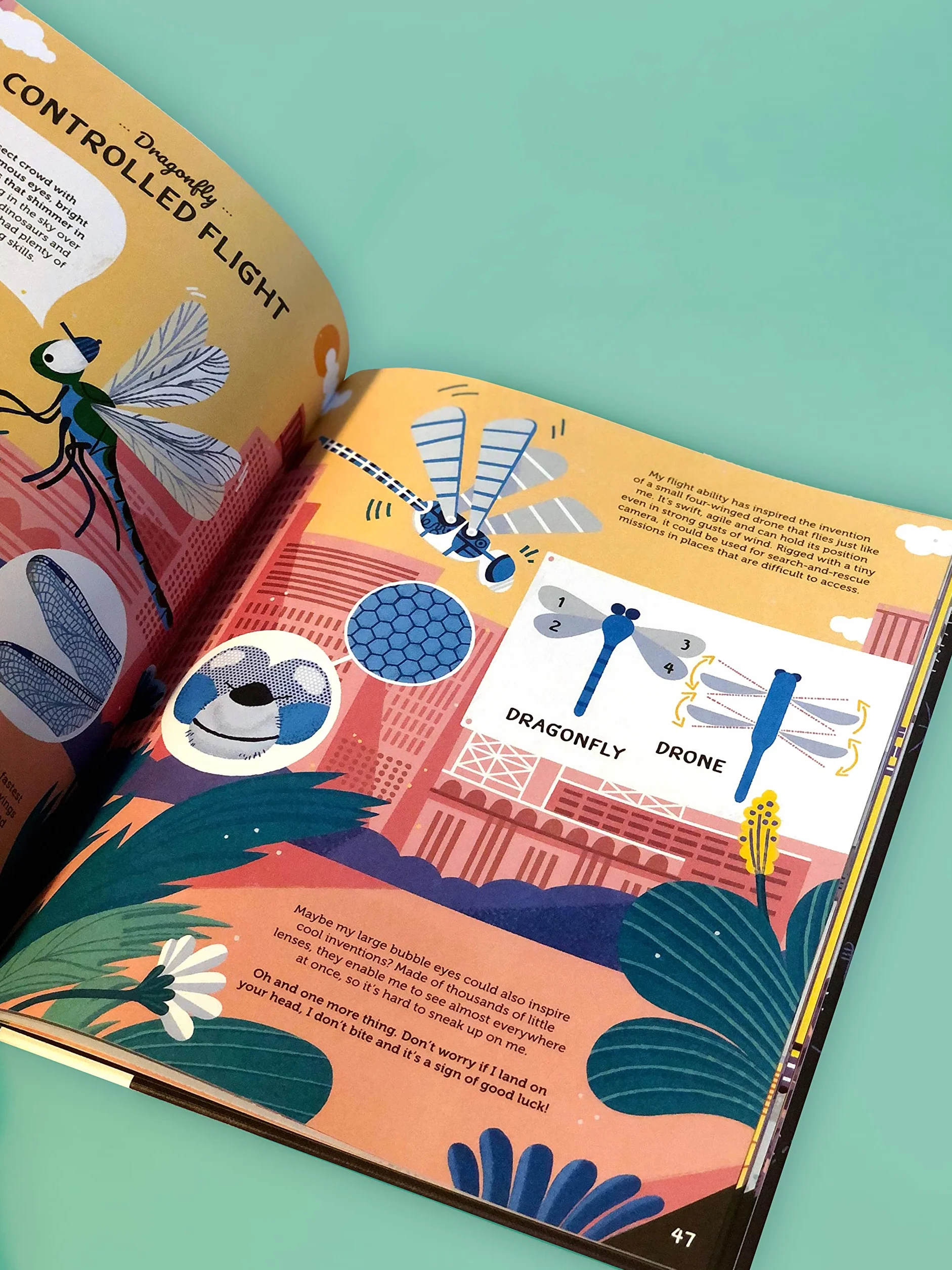 Invented by Animals: Meet the creatures who inspired our everyday technology