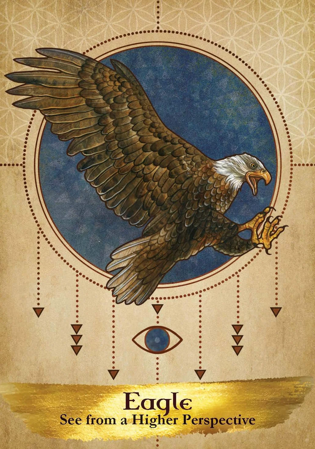 Angels and Ancestors Oracle Cards: 55-Card Deck and Guidebook