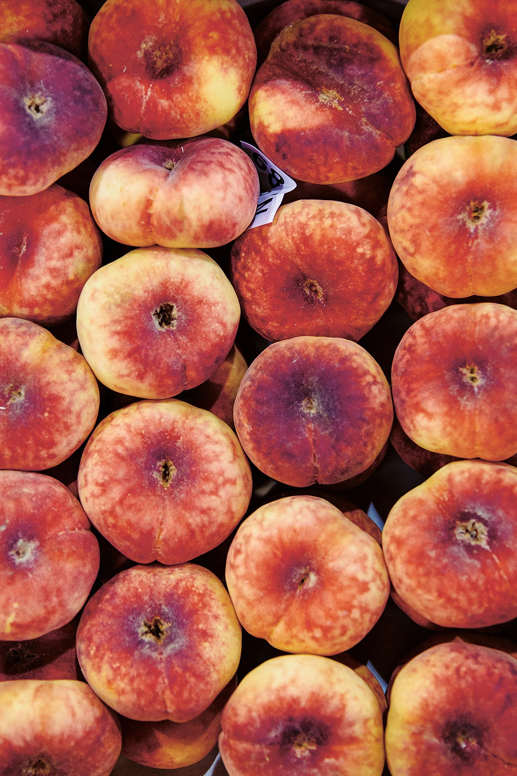 The Modern Preserver: Seasonal Cookbook