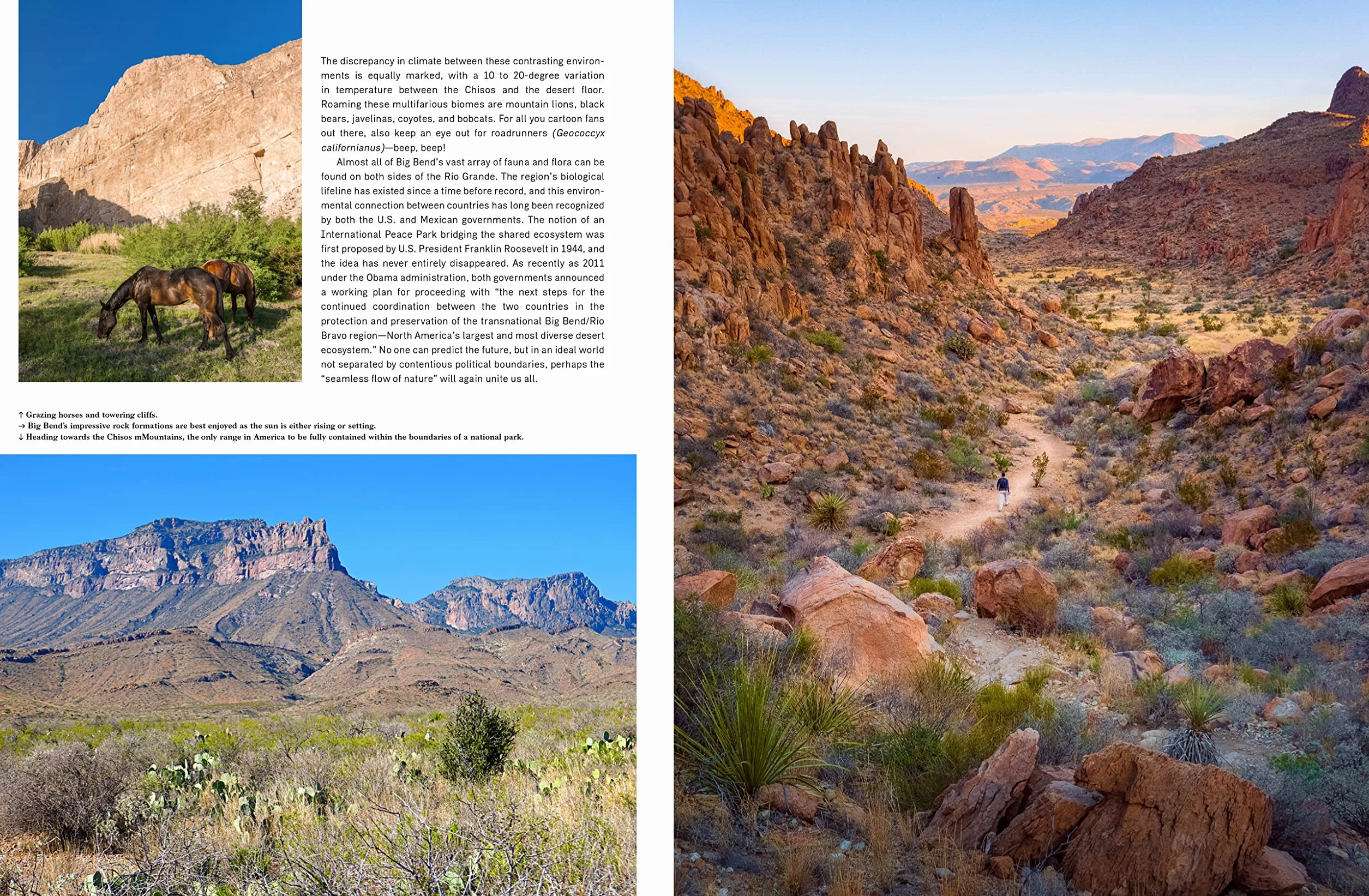 Wanderlust USA: The Great American Hike Explored by Cam Honan