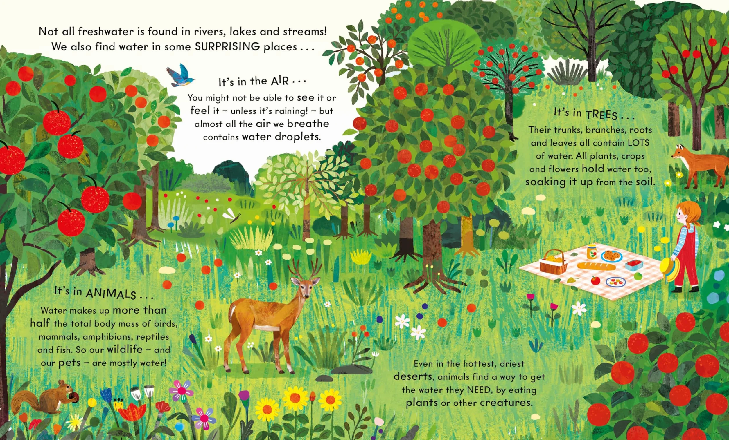 National Trust Wonder World Water: Natural Science of Rain Rivers Oceans