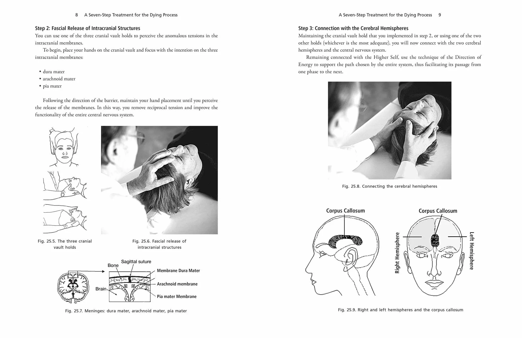 Craniosacral Therapy for Grief and Loss: Hands-On Techniques to Release Trauma Stored in the Body
