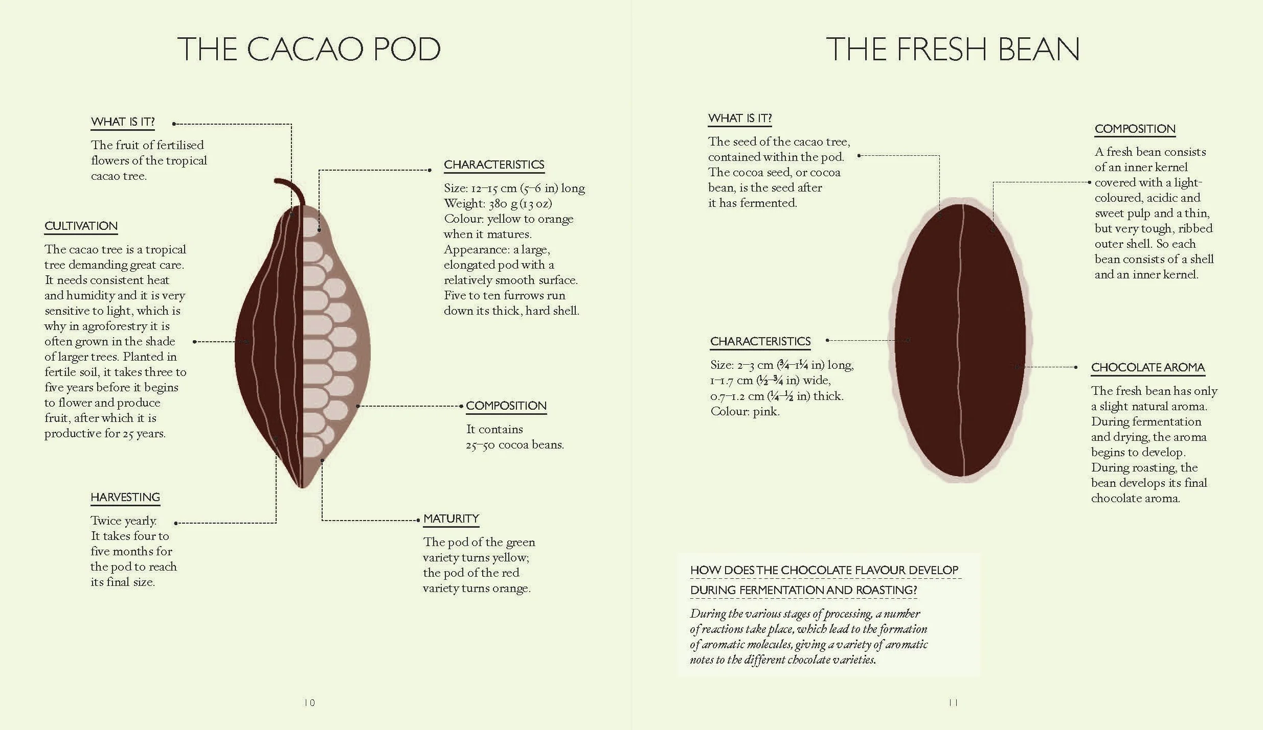 The Little Book of Chocolate: Cakes and Pastries: Make Your Own Baked Goods at Home