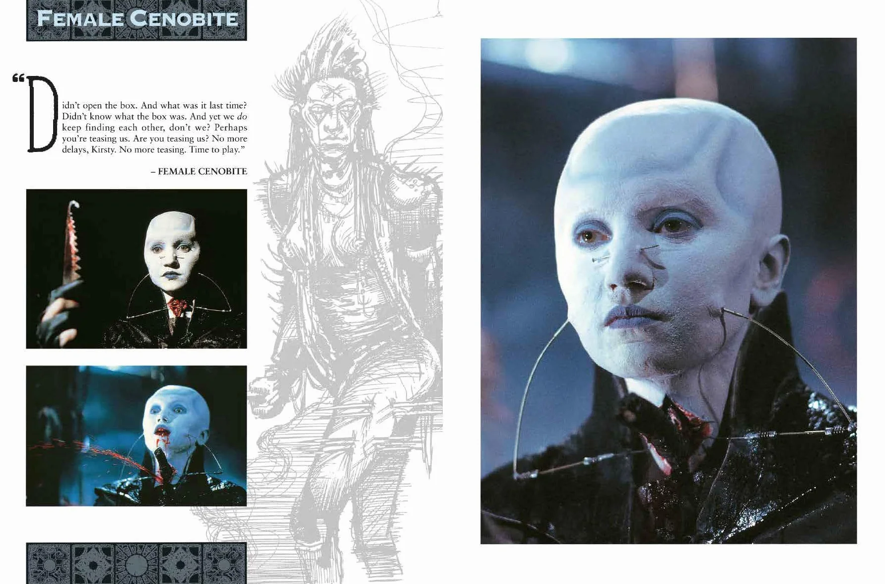 The Hellraiser Chronicles