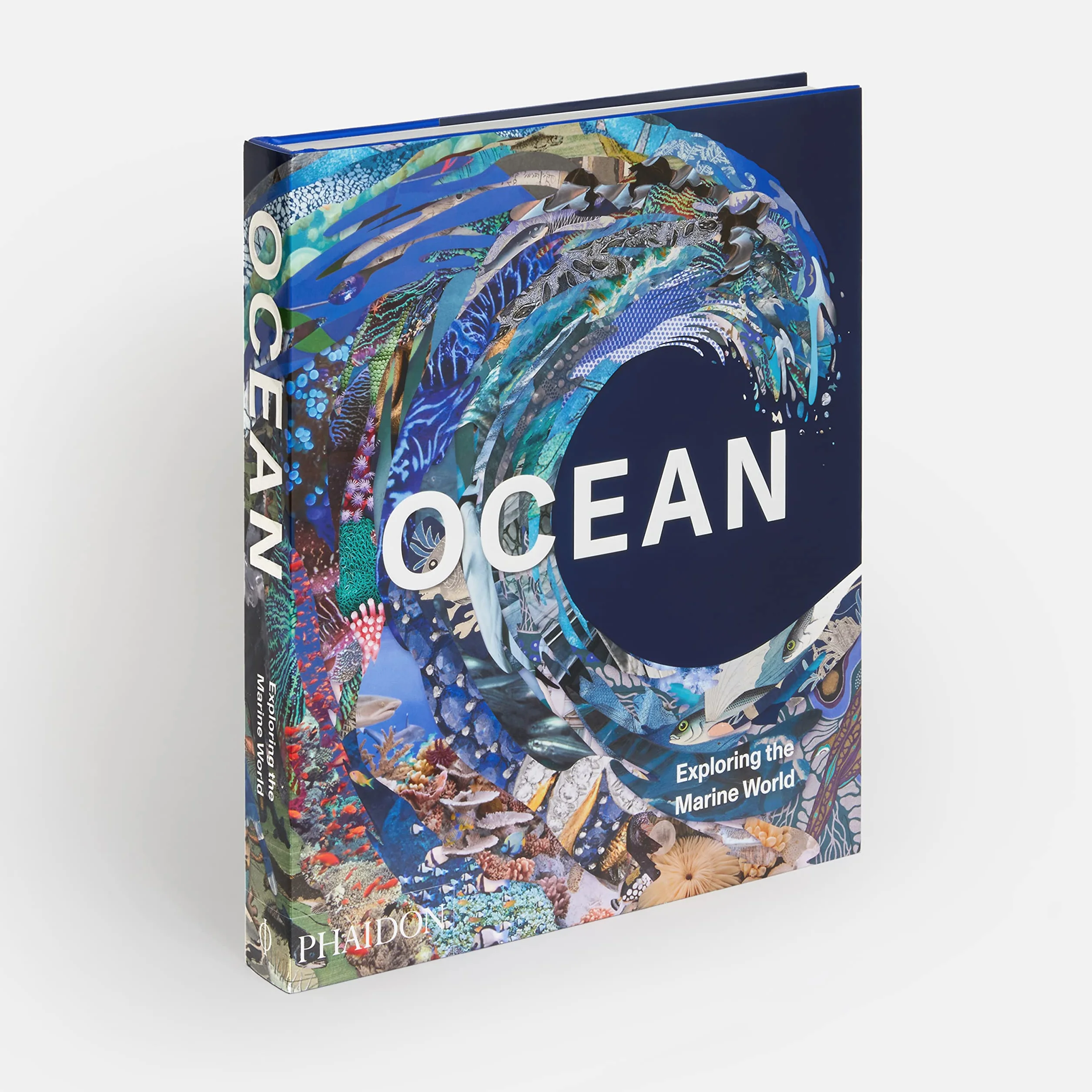 Ocean: exploring the marine world