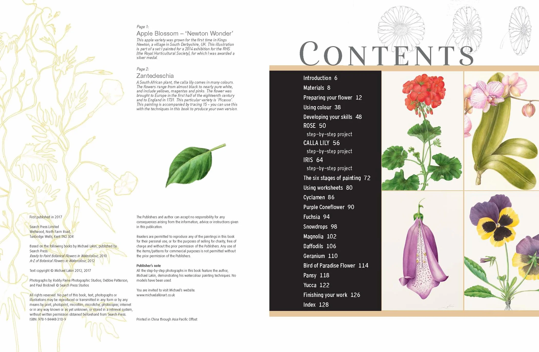 Beginner's Guide to Botanical Flower Painting