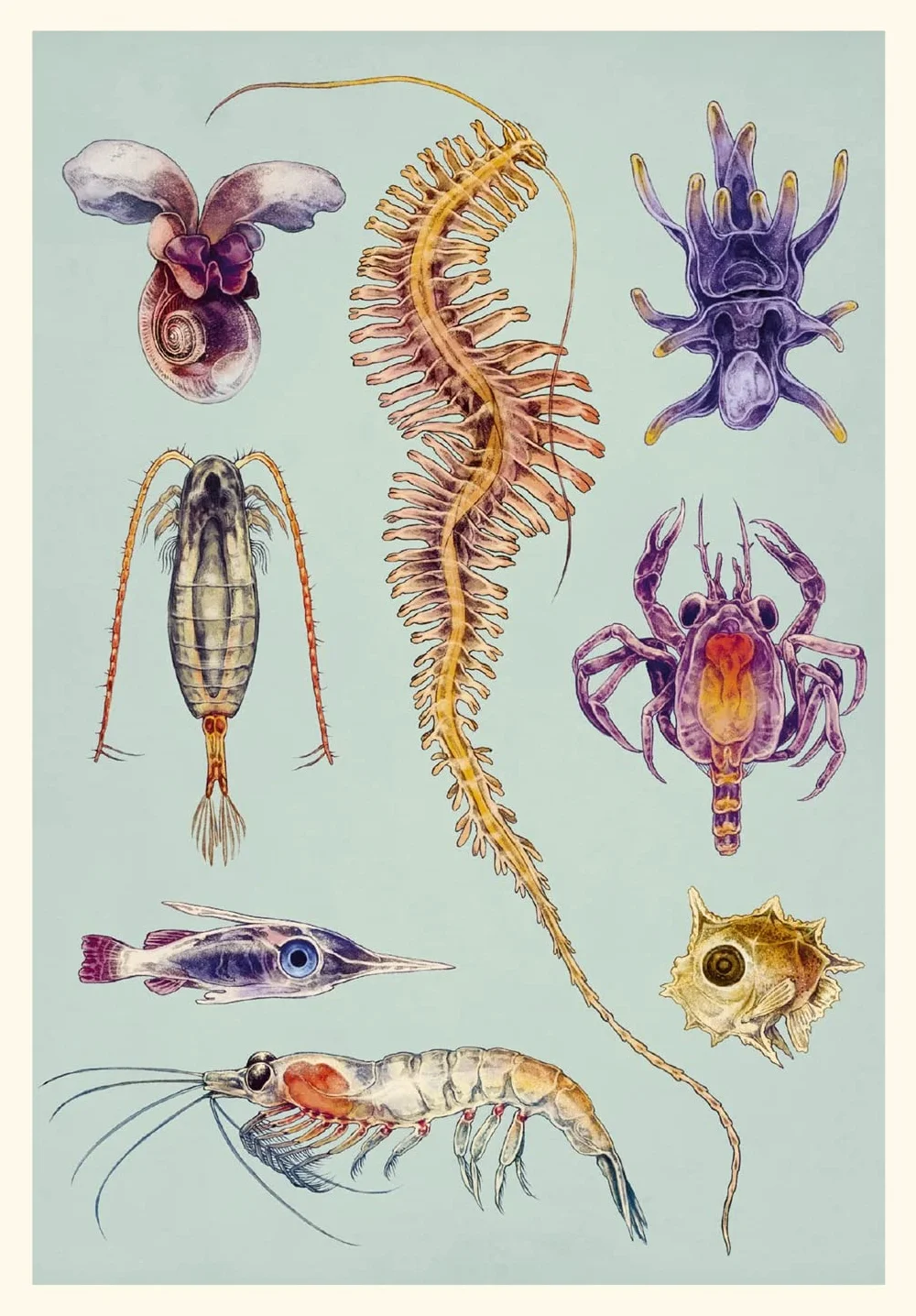 Oceanarium Postcards