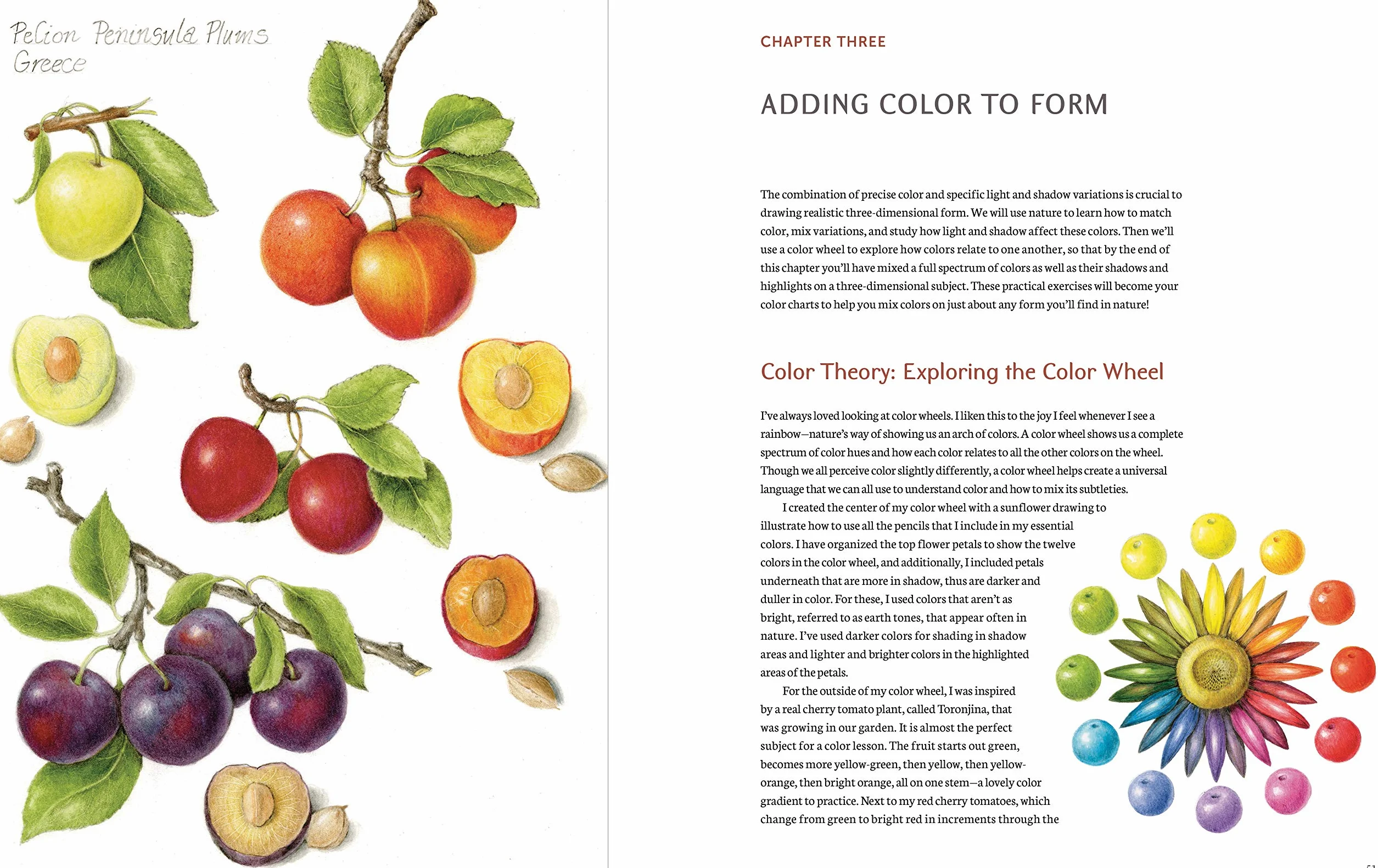 The Joy of Botanical Drawing: A Step-by-Step Guide to Drawing and Painting Flowers, Leaves, Fruit