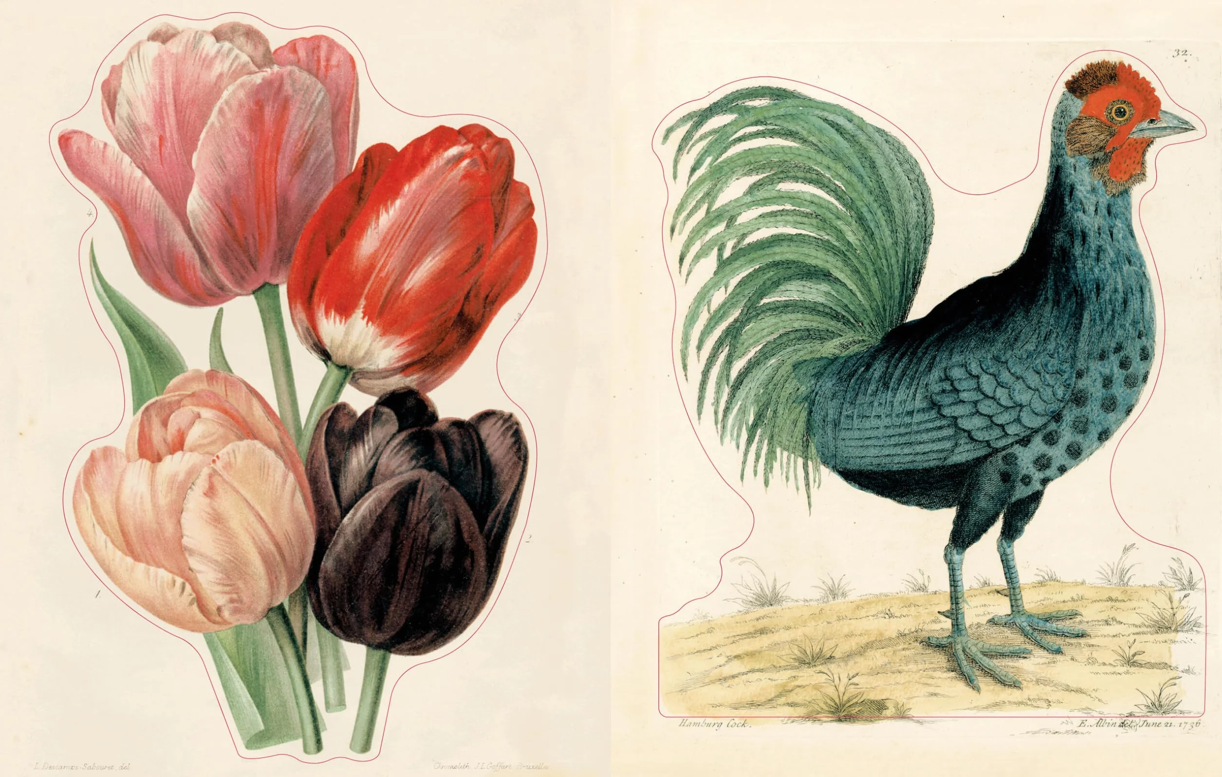John Derian Sticker Book II /anglais