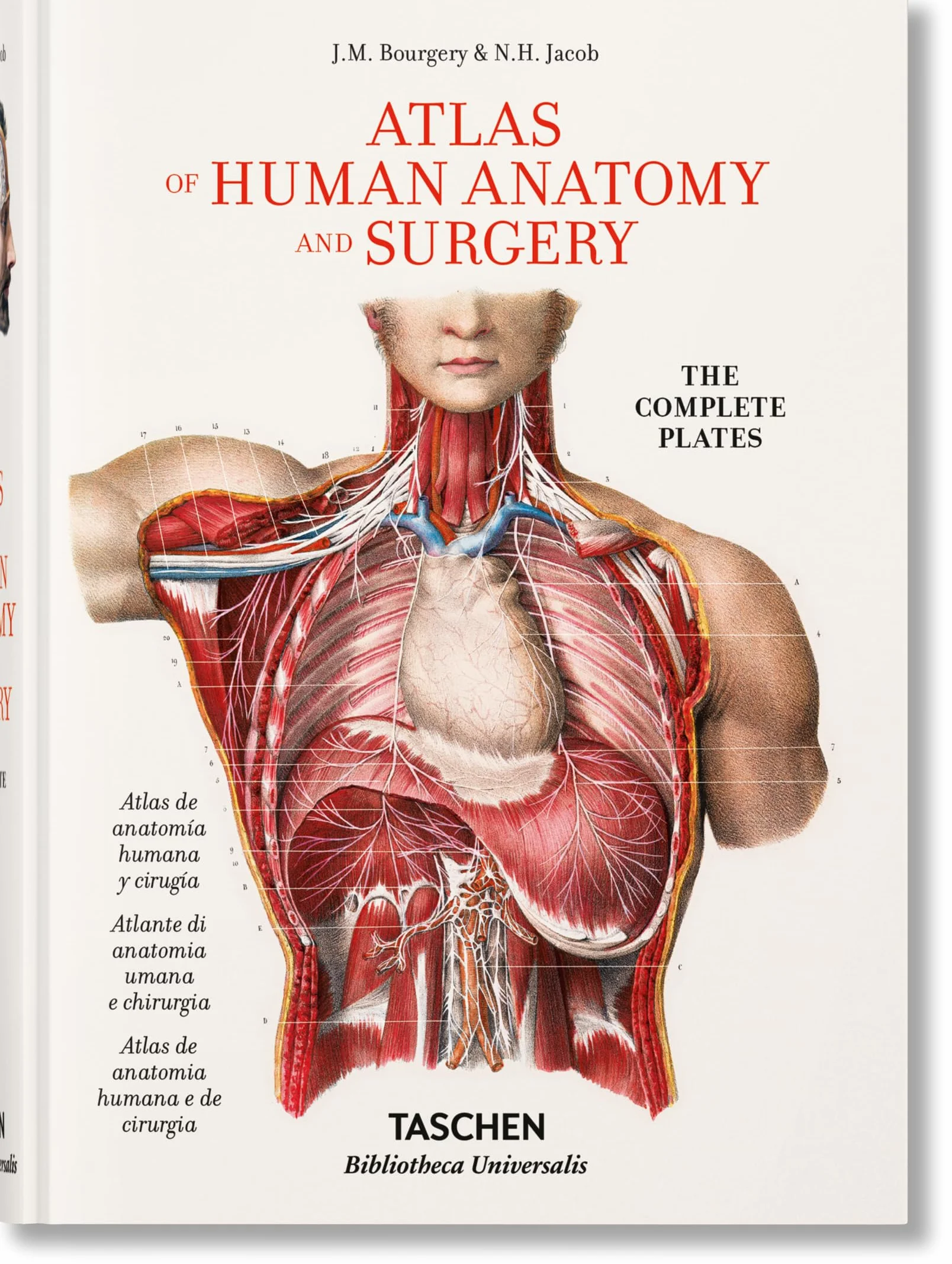 Bu-bourgery atlas of anatomy - italien - espagnol - portugais -: Atlas de anatomía humana y cirugía