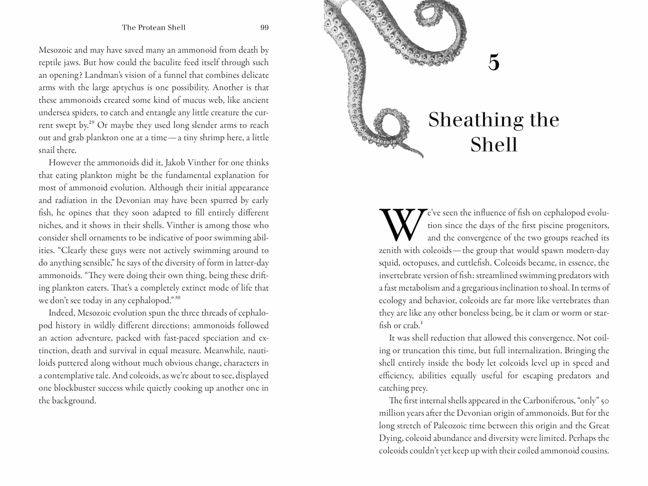 Monarchs of the Sea: The Extraordinary 500-Million-Year History of Cephalopods