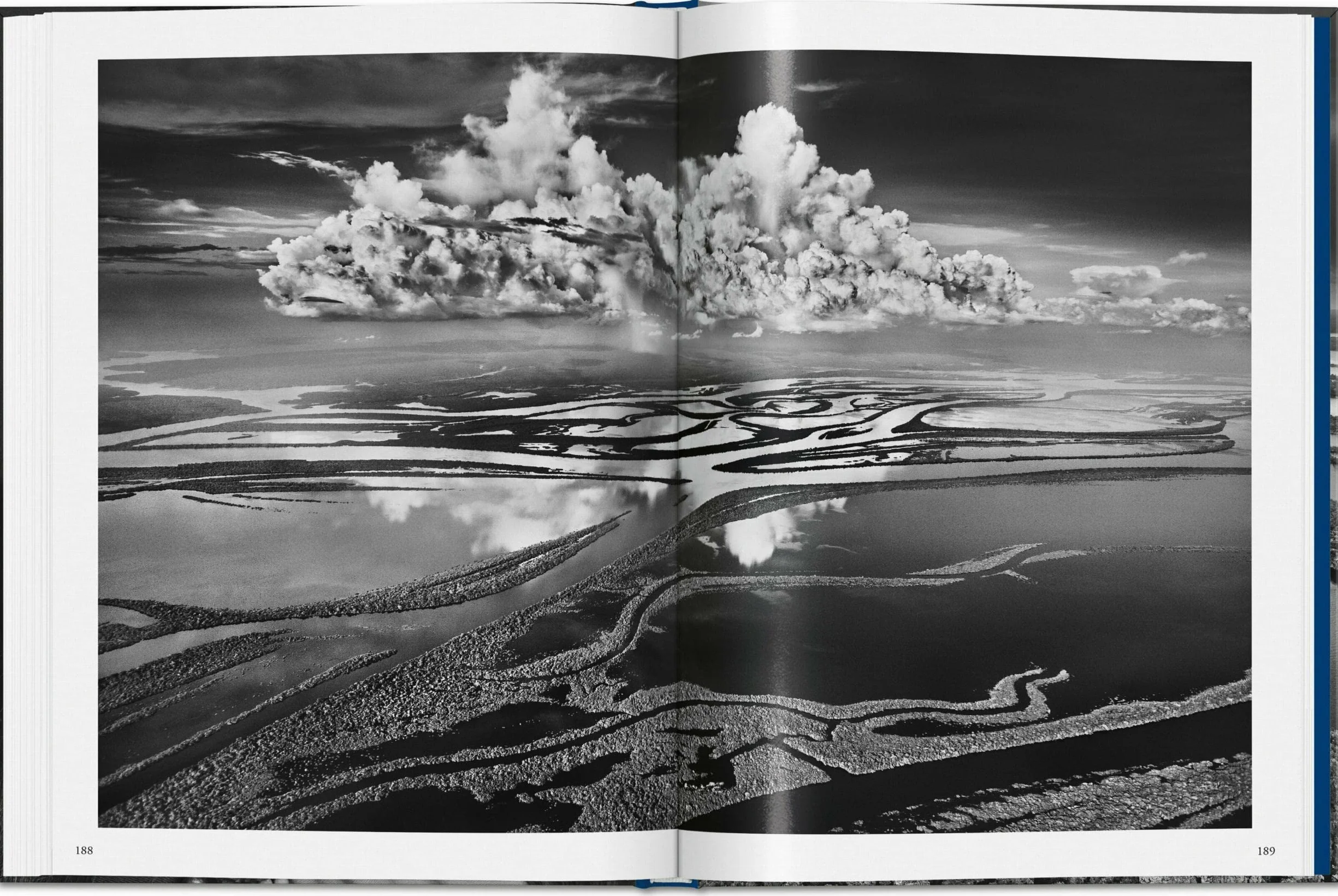 Salgado, Amazônia
