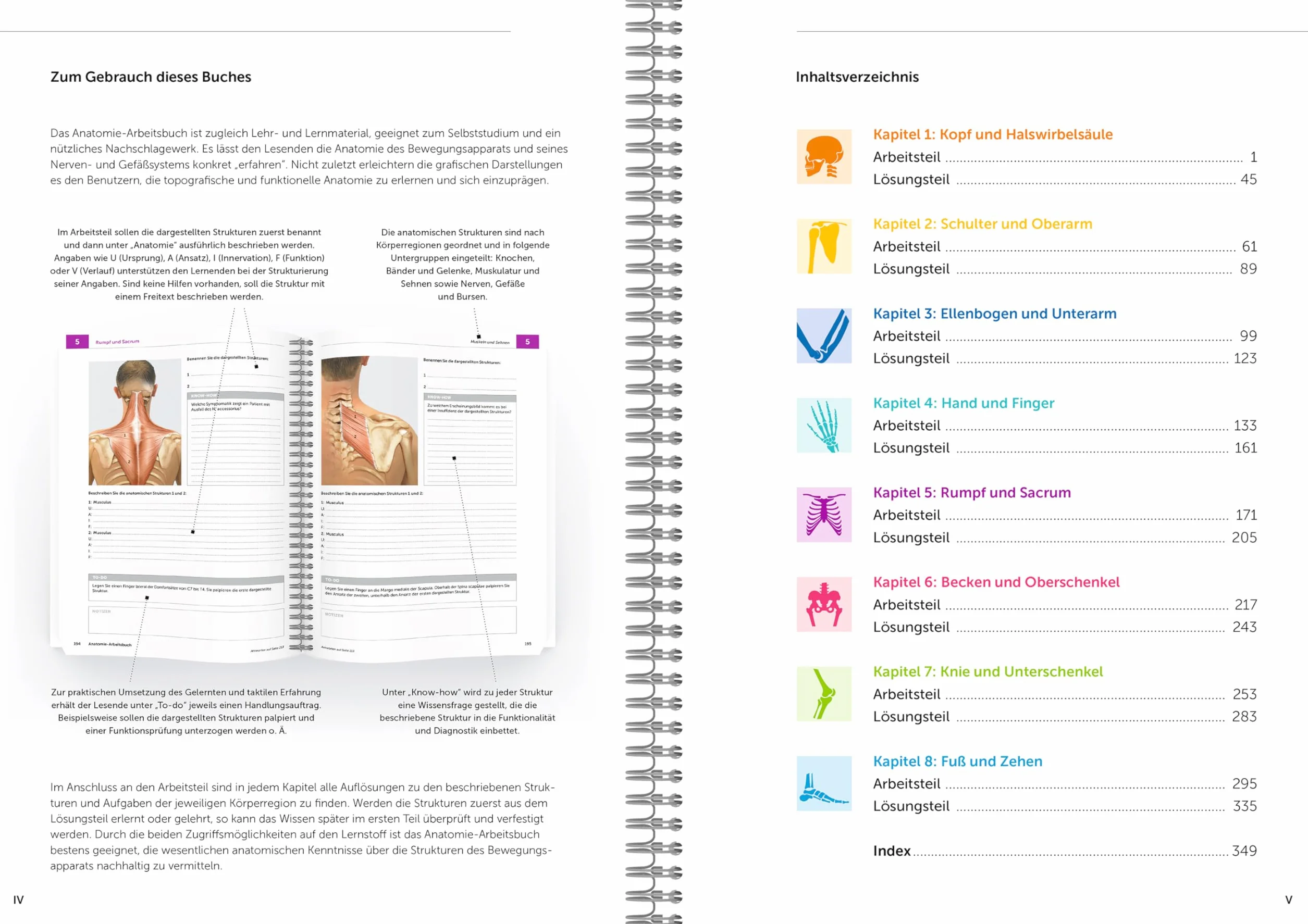 Anatomie-Arbeitsbuch: Anatomie aktiv erfahren und verstehen
