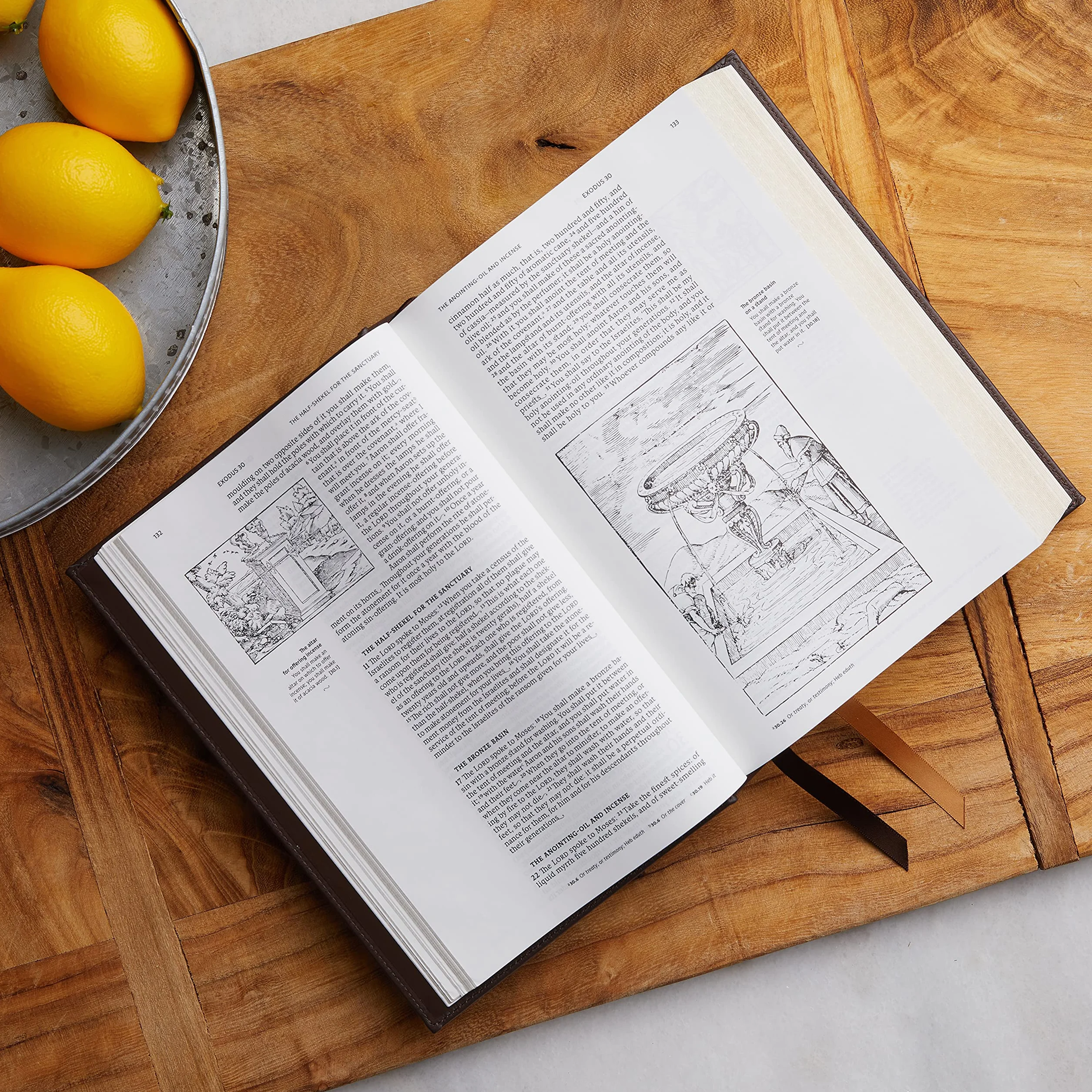 Nrsvce, Illustrated Catholic Bible, Leathersoft, Comfort Print: Holy Bible