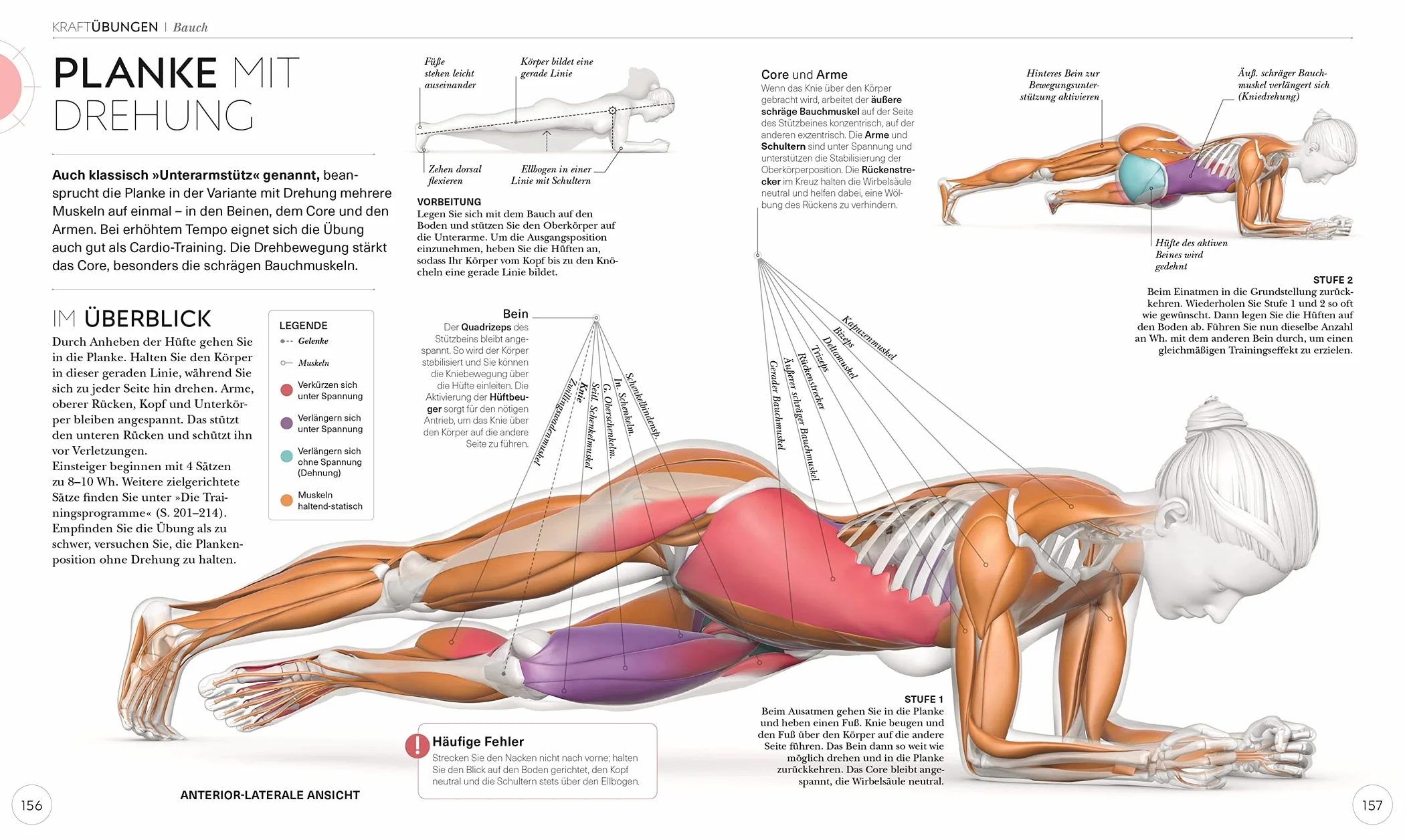 Krafttraining - Die Anatomie verstehen: Mit Übungen zum gezielten Muskelaufbau für einen definierten Körper