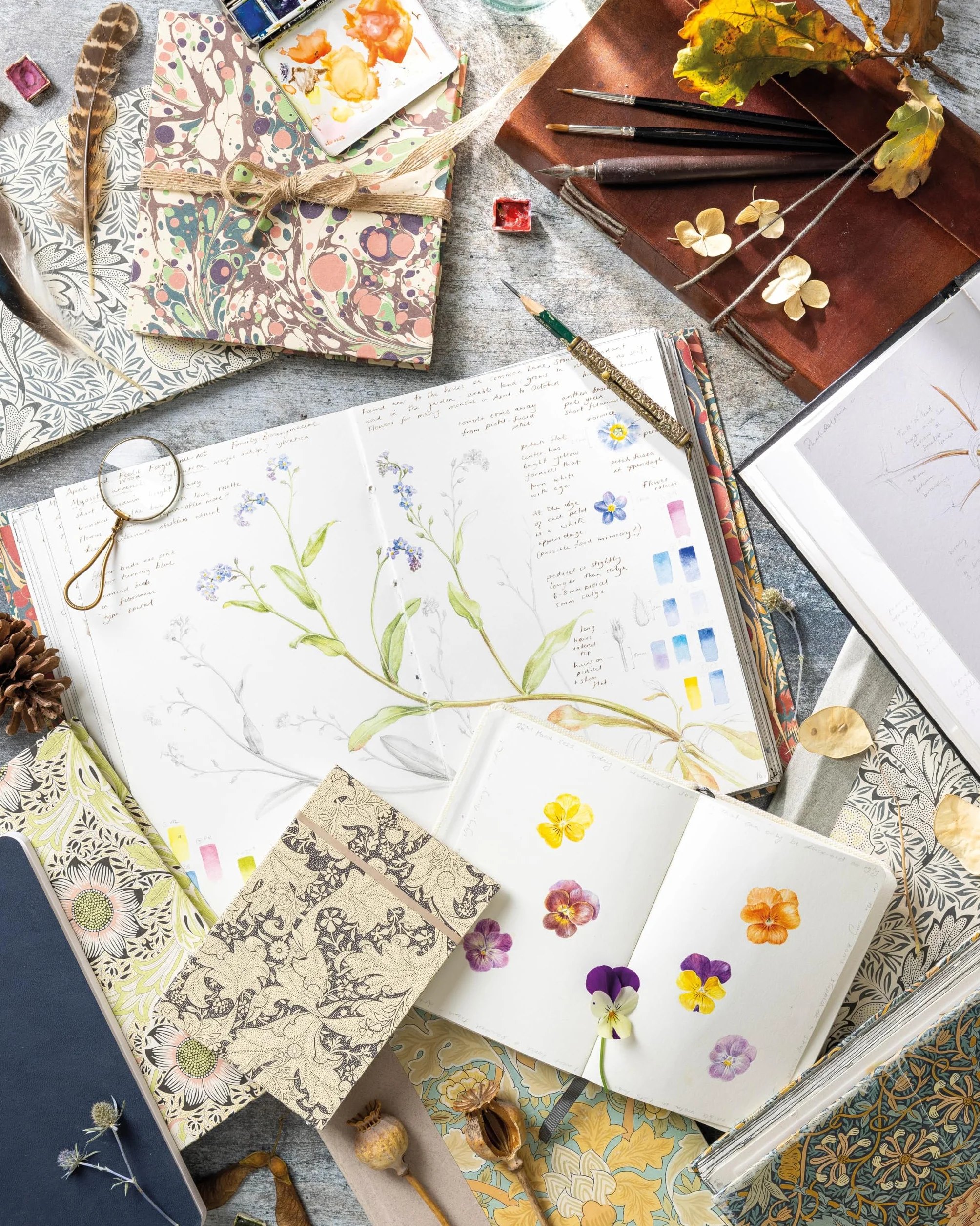 Sketching Nature: The Beginner's Guide to Keeping a Botanical Sketchbook