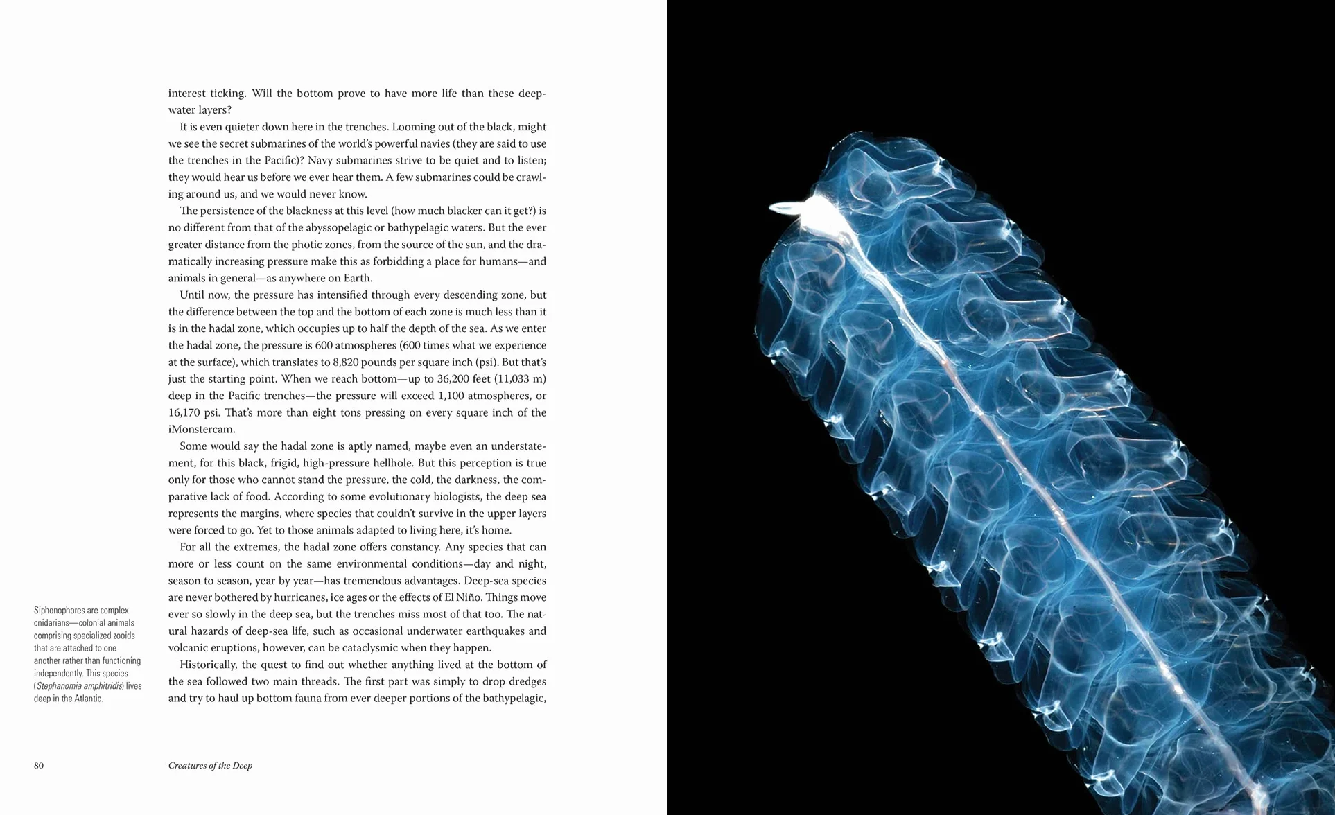 Creatures of the Deep: In Search of the Sea's Monsters
