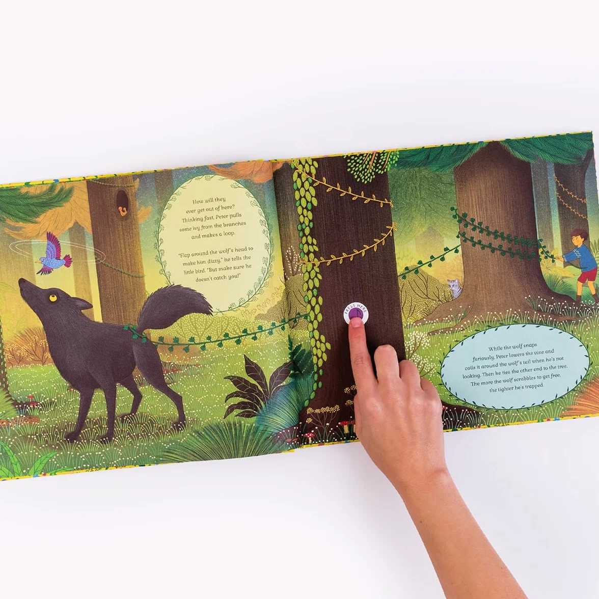 The Story Orchestra: Peter and the Wolf /anglais: Volume 9 Press the note to hear Prokofiev's music