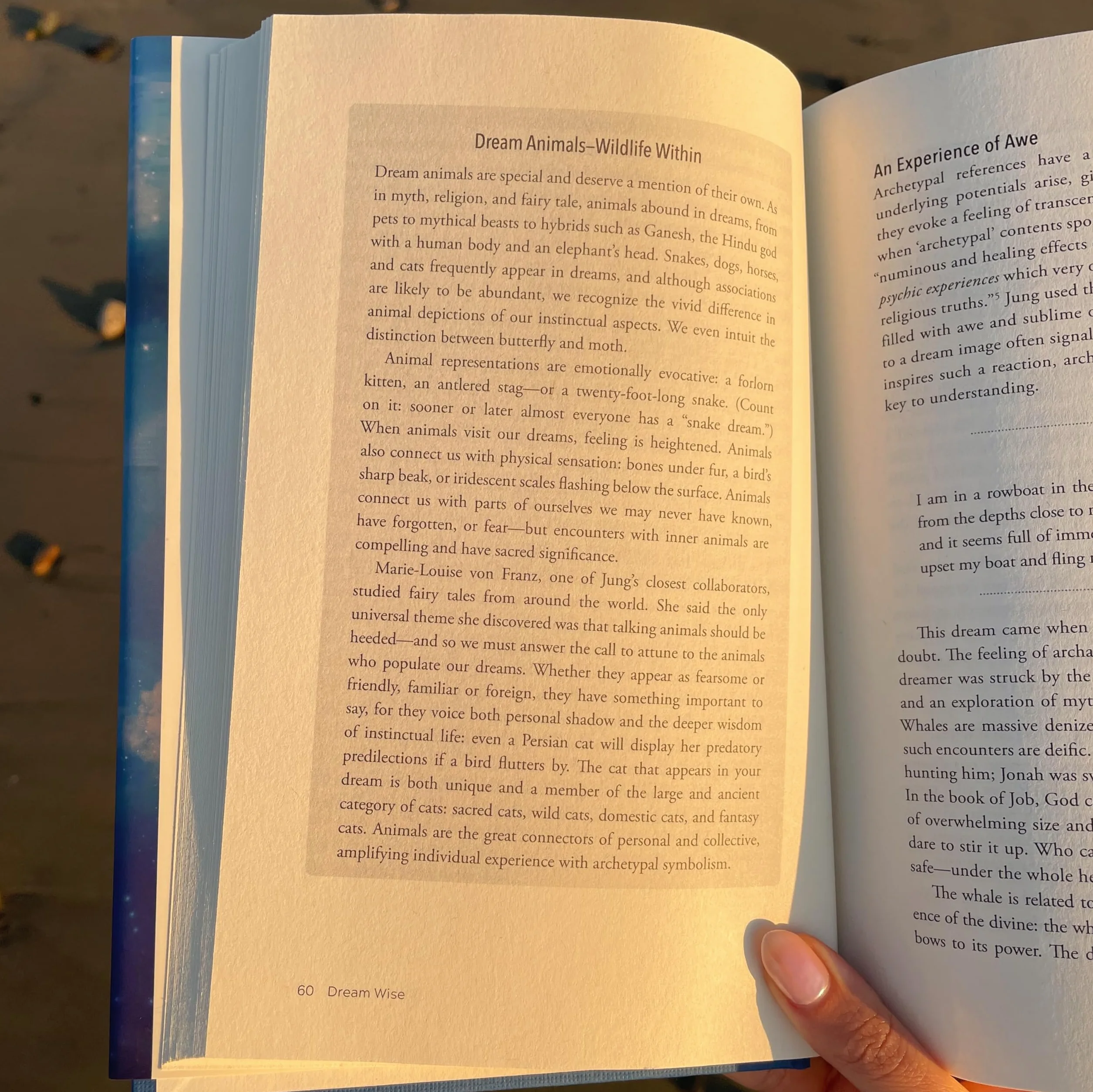 Dream Wise: Unlocking the Meaning of Your Dreams