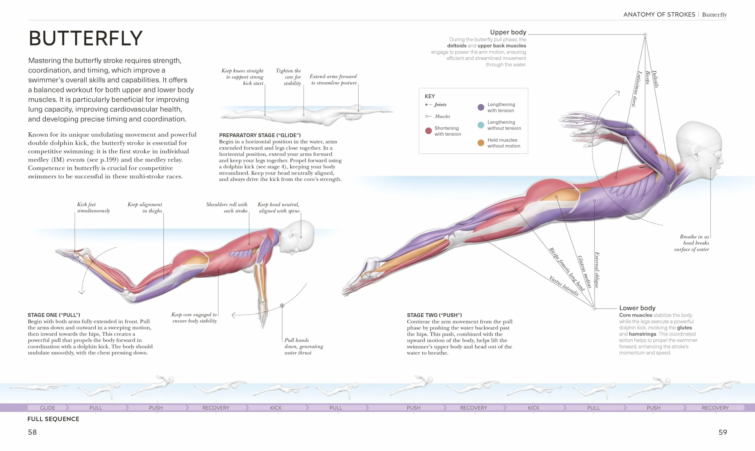 Science of Swimming: Transform Your Stroke, Improve Strength, Revolutionize Your Training