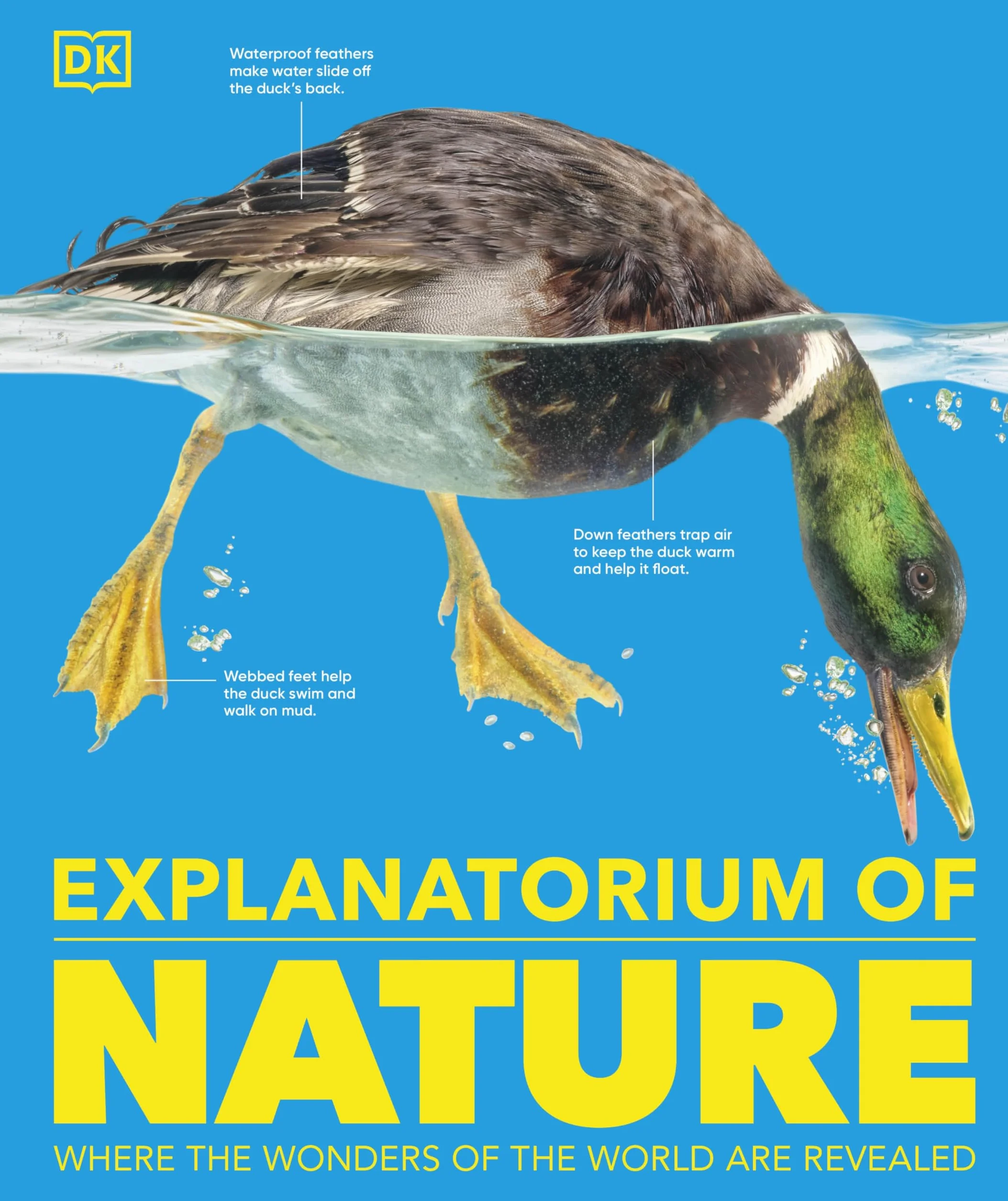 Explanatorium of Nature: Where the Wonders of the World are Revealed