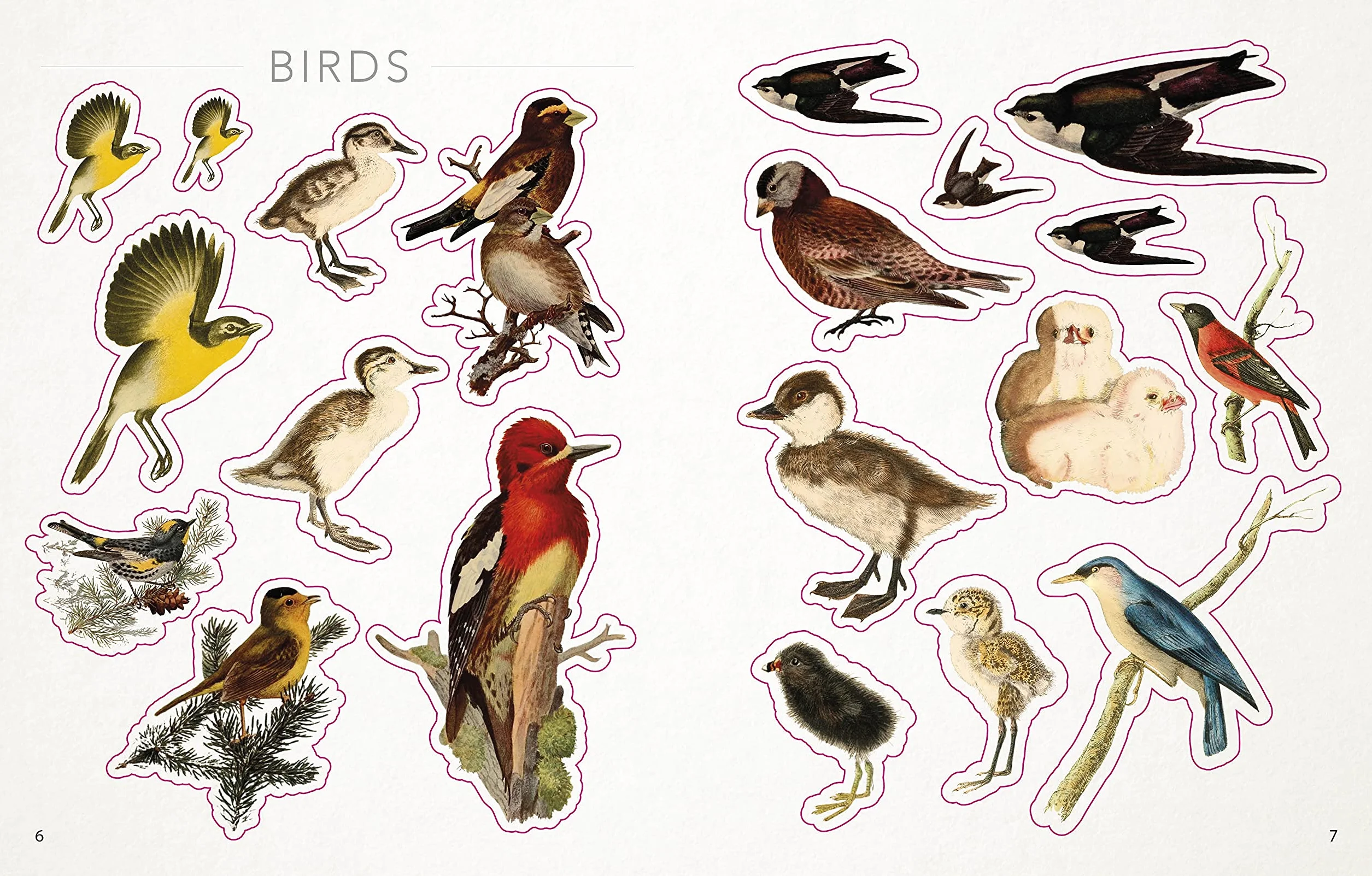 The Bees, Birds & Butterflies Sticker Anthology: With More Than 1,000 Vintage Stickers
