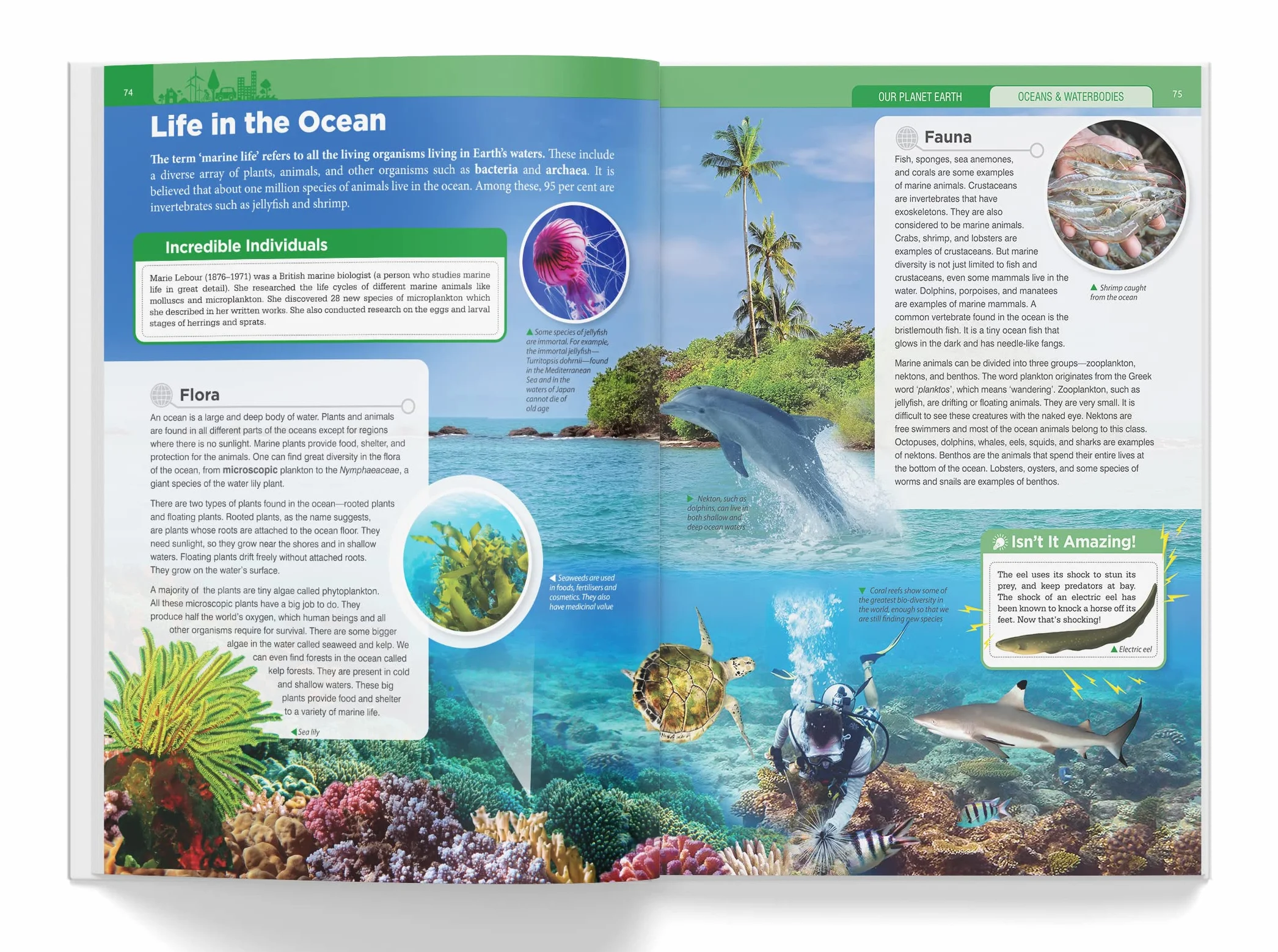 Knowledge Encyclopedia: Our Planet Earth